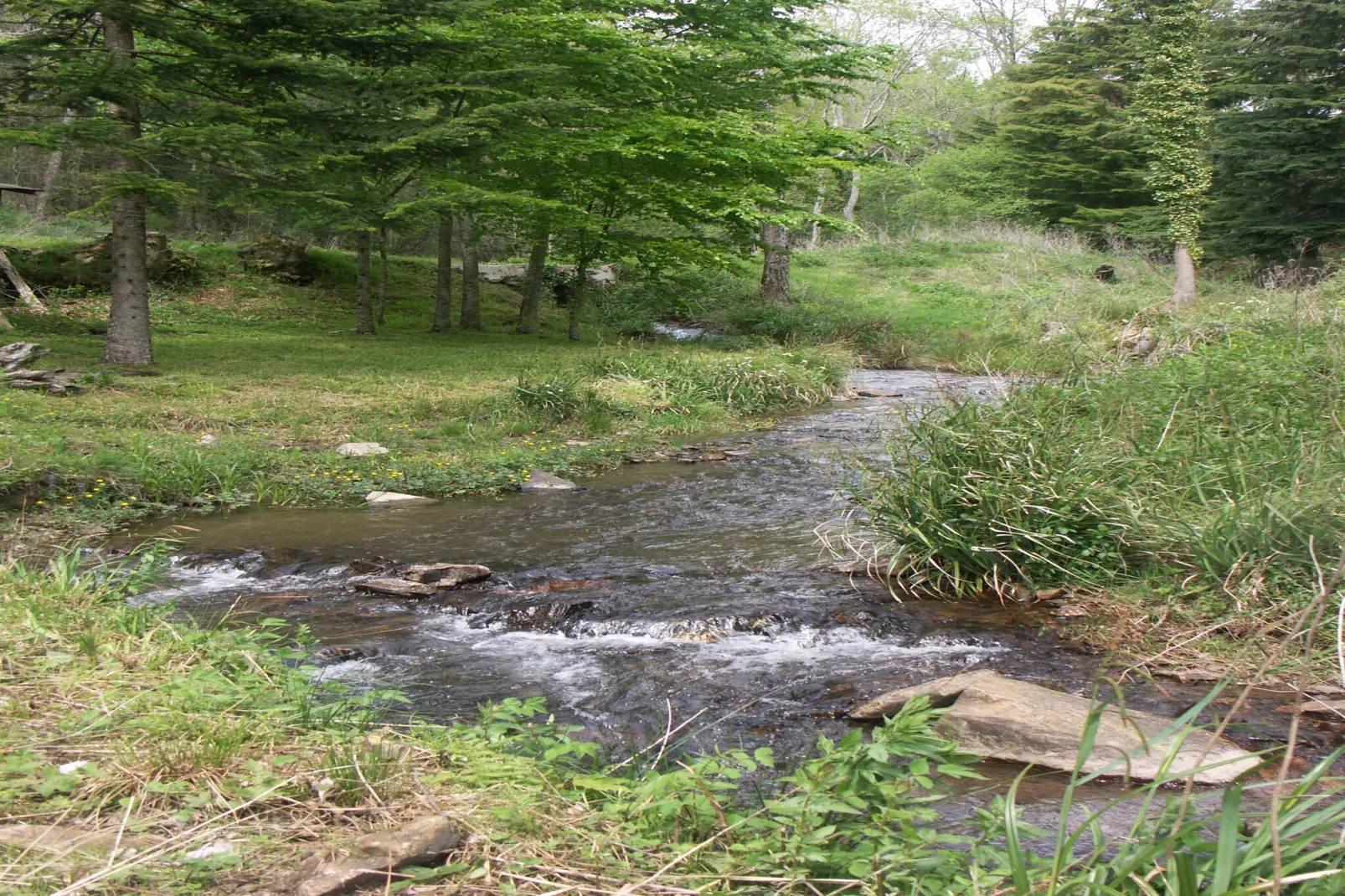 Gite du Pantouquet-Sfeer