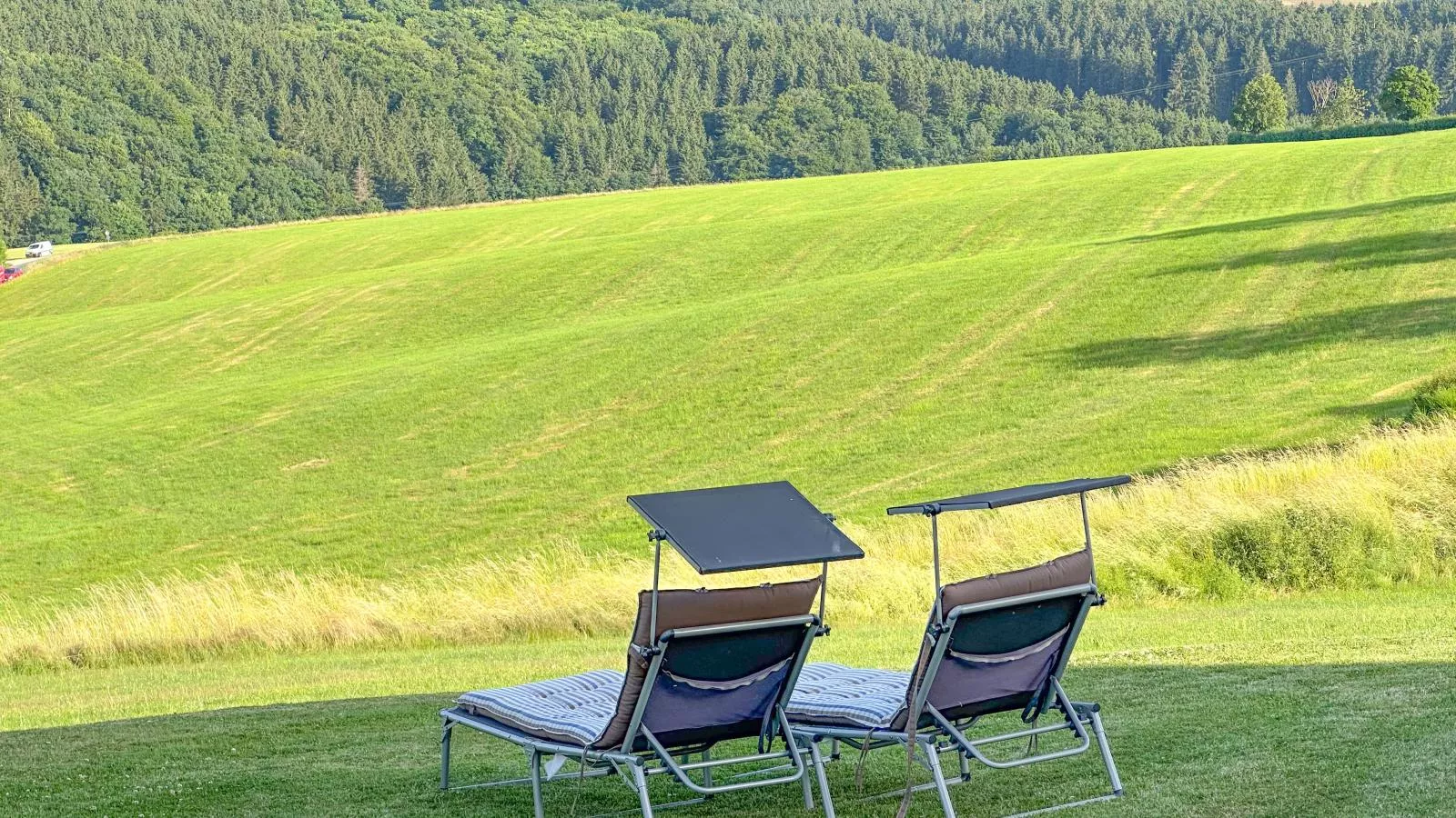 Eifelleben Kleinlangenfeld-Uitzicht zomer