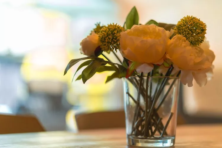 Poolhaus 140 qm-Sfeer