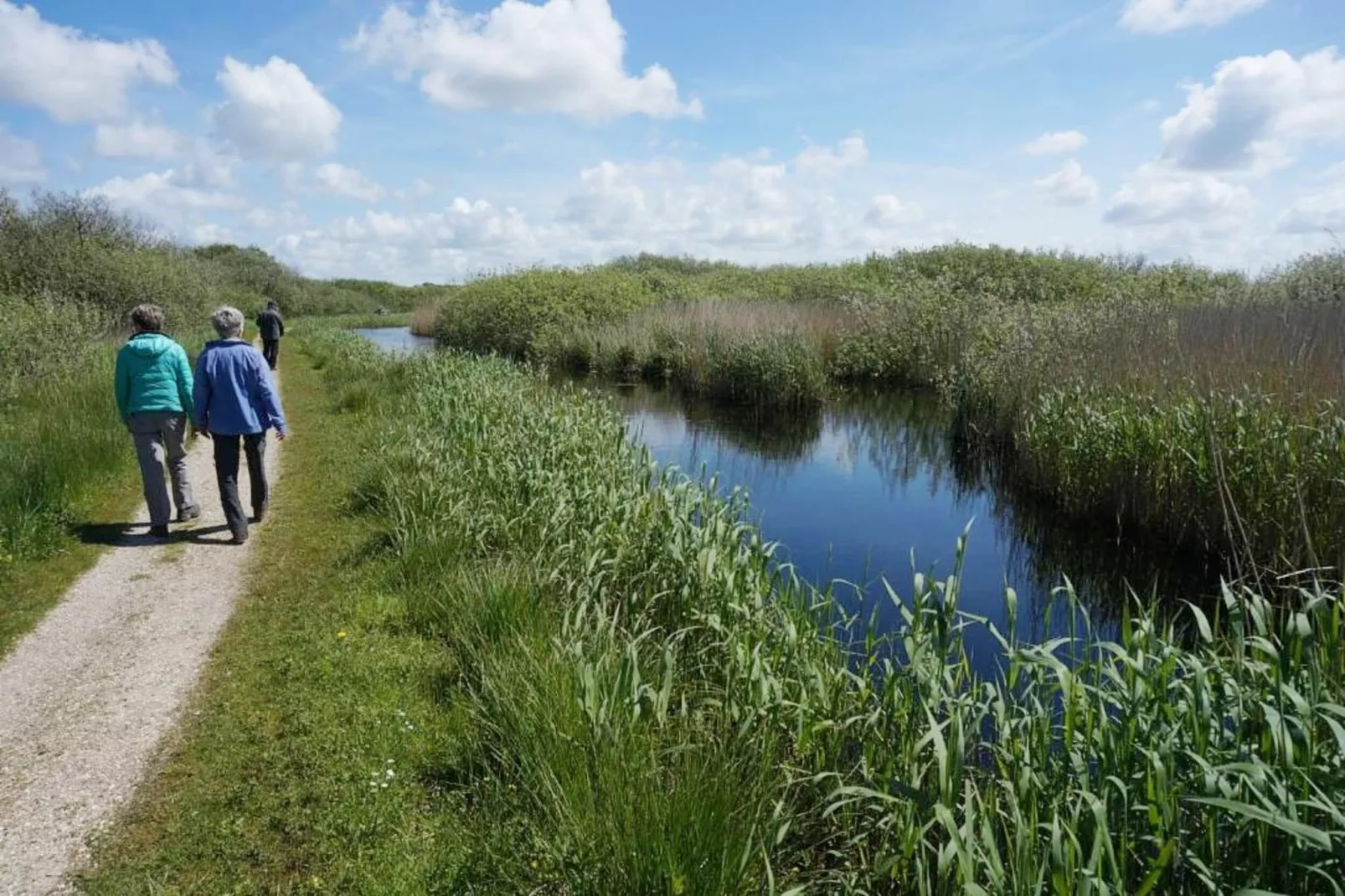 De Biotoop-Gebieden zomer 5km