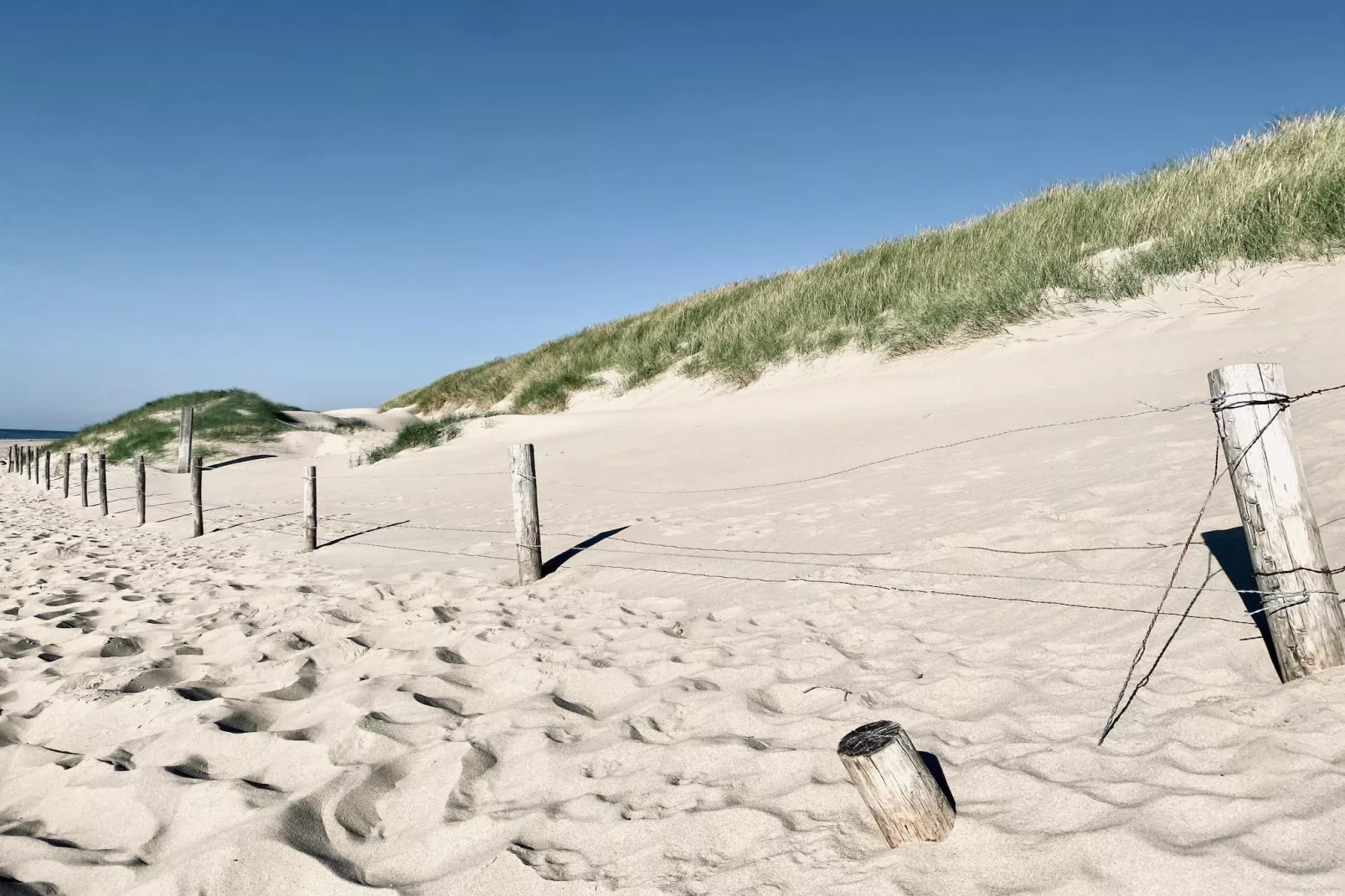 INFINITY-Gebieden zomer 5km