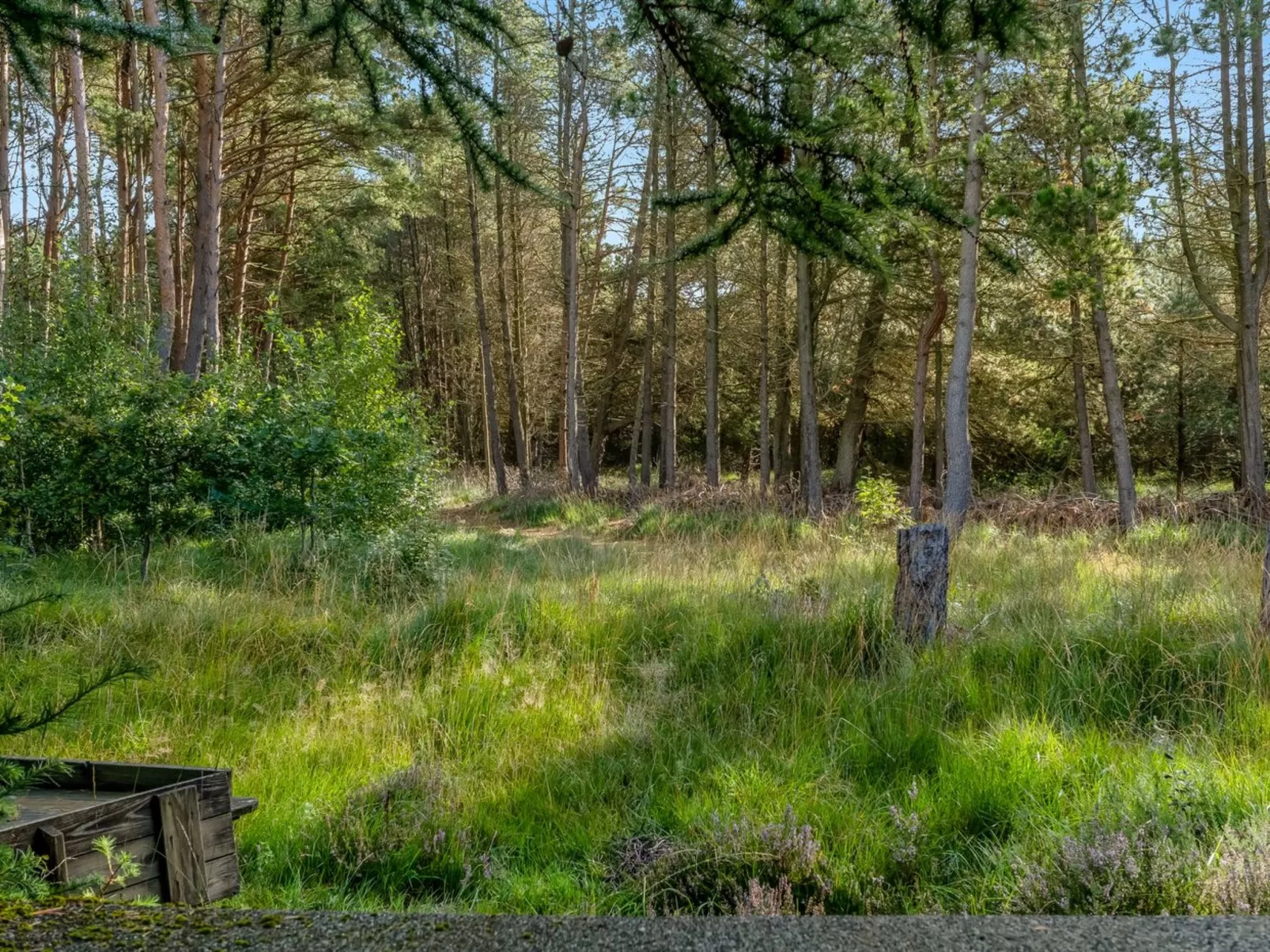 "Bernadine" - 350m from the sea-Buiten