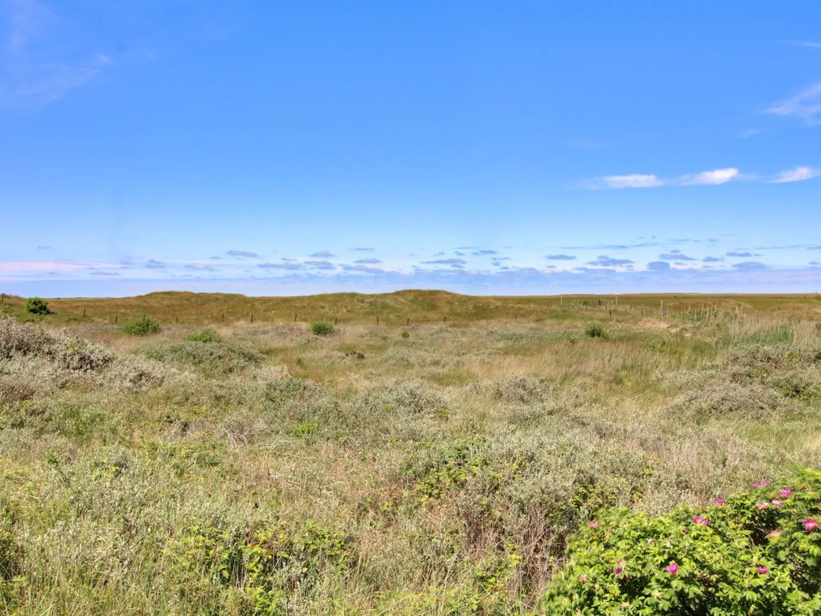 "Zekine" - 2.5km from the sea-Buiten