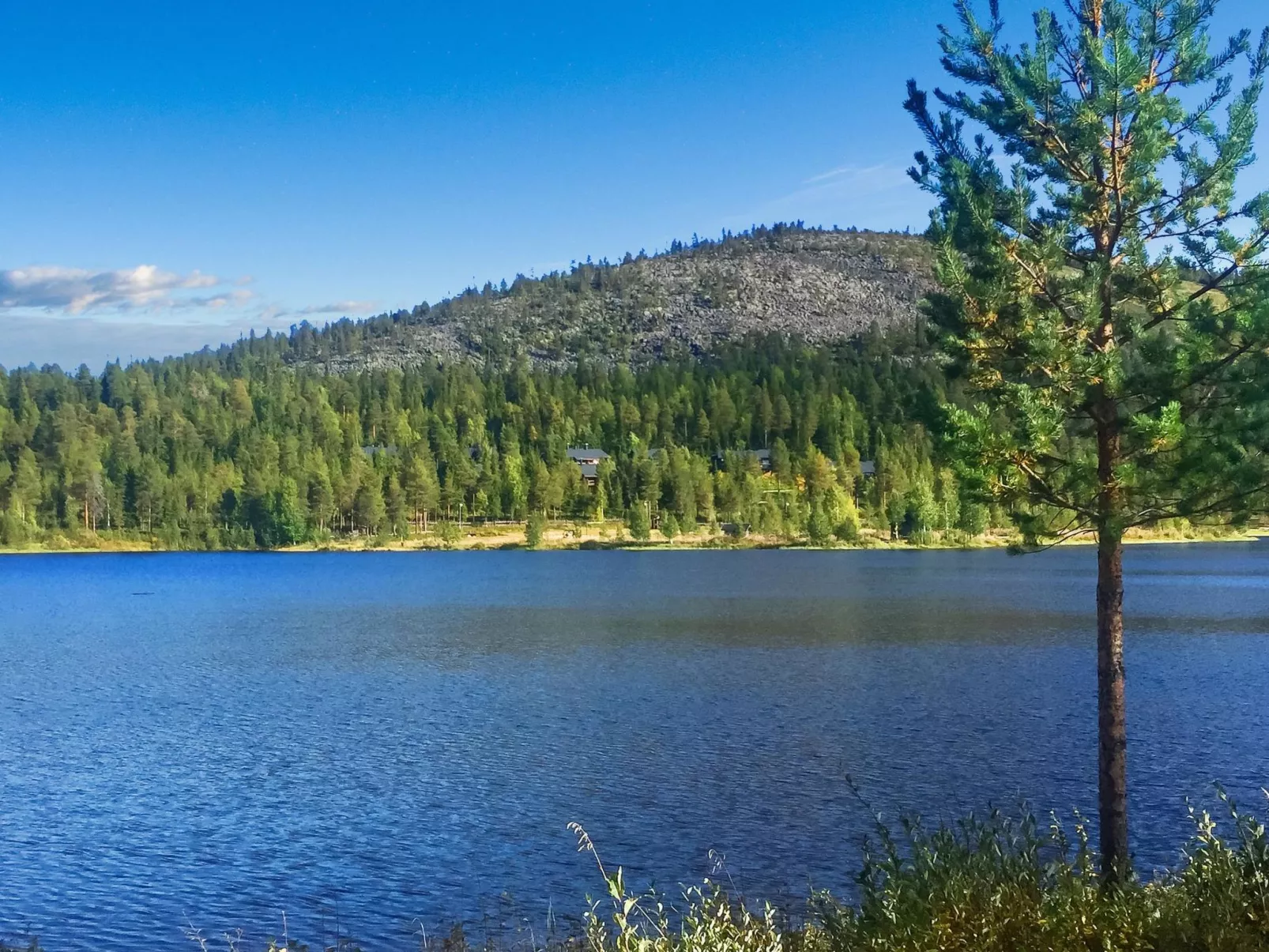 Sallanhelmi a2-Binnen