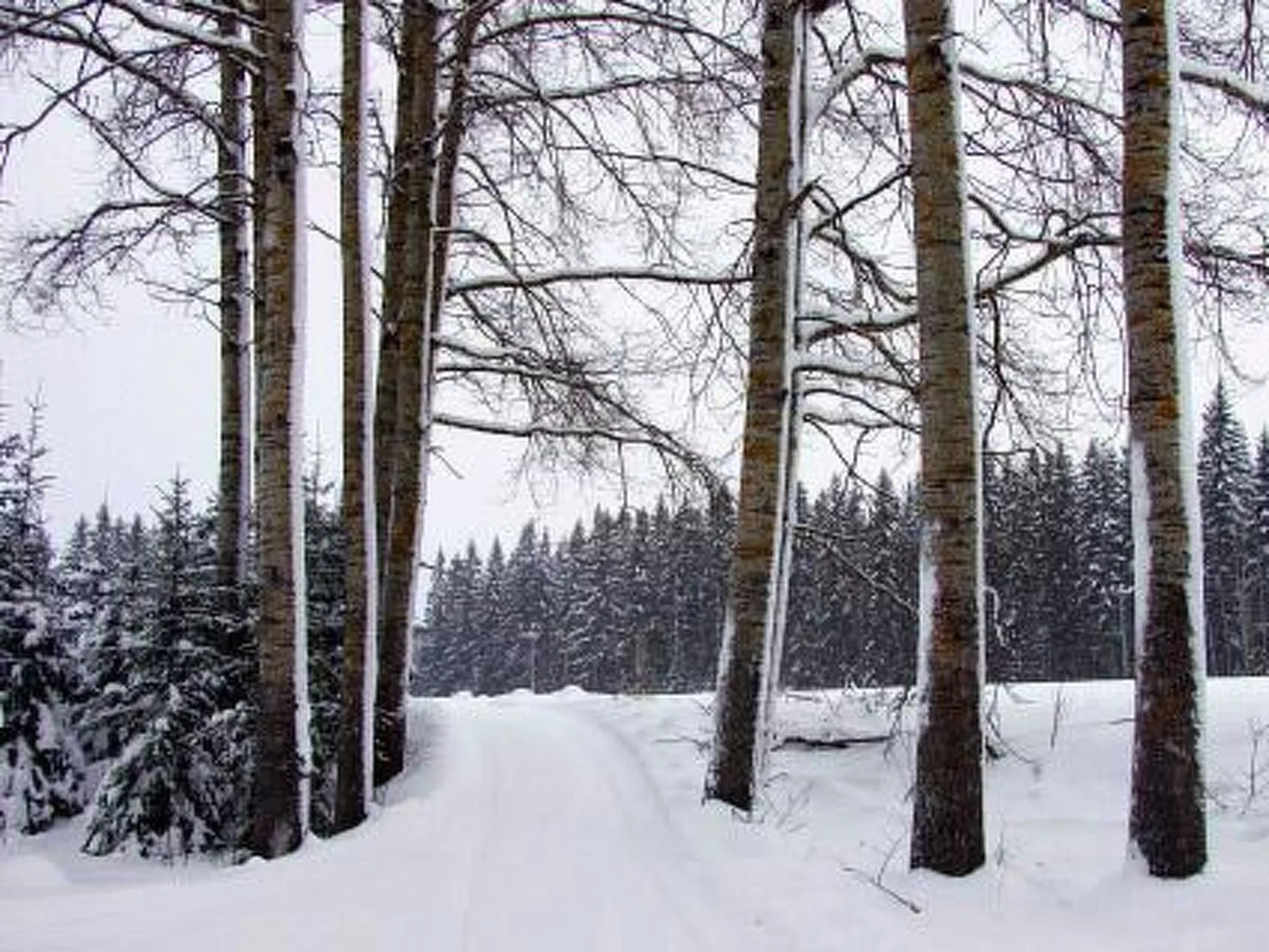 Kopinkallio 2-Binnen