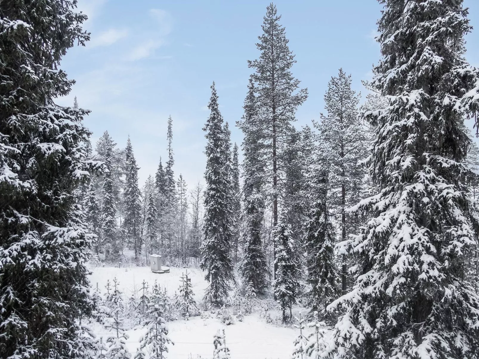 Pöllölaakso-Binnen