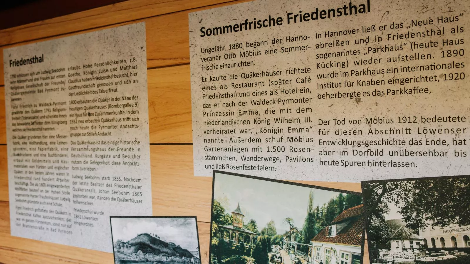 Hubertus II-Gebieden zomer 1km