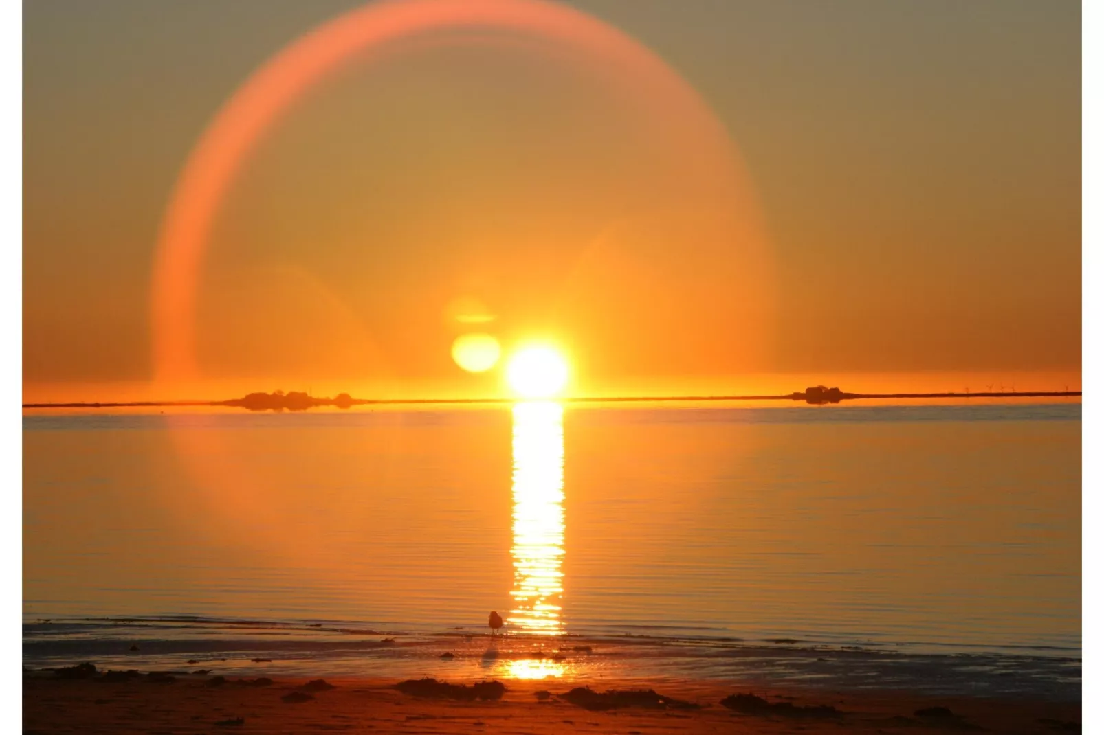 Ferienhaus Hilligenlei-Gebieden zomer 1km