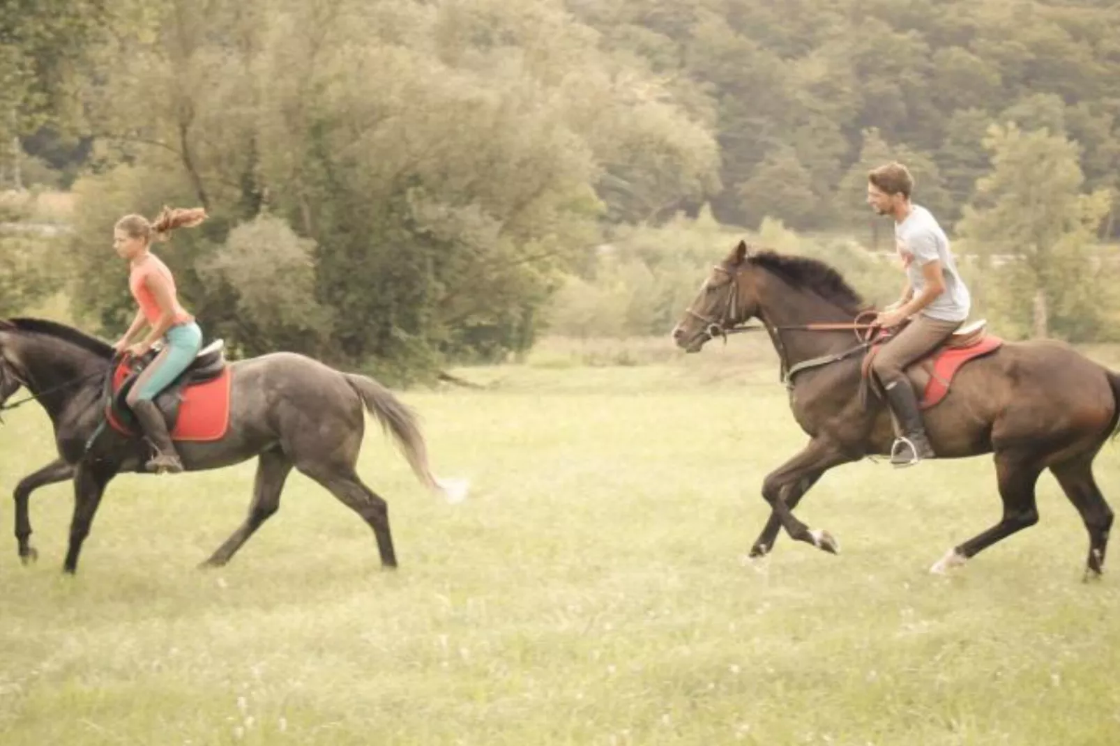 Zevnik Quiet Retreat with Stunning Views and Equestrian Activities - Standard One Bedroom Apartment-Buitenlucht