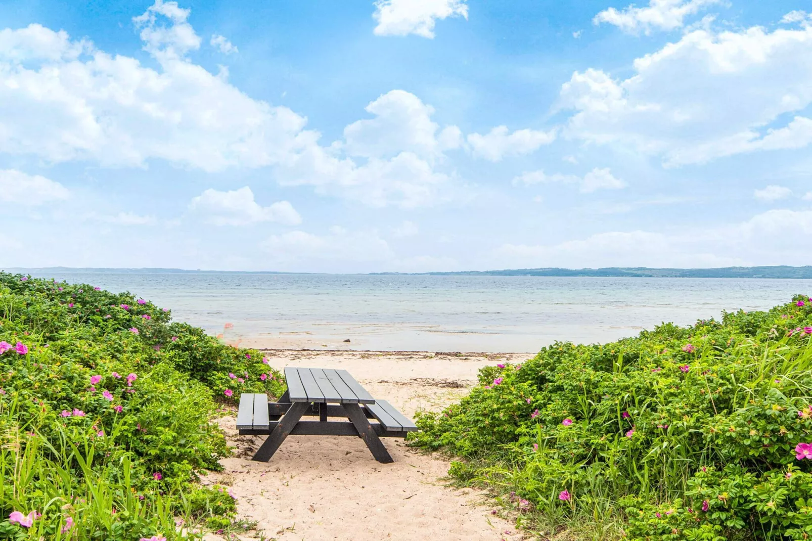 5 sterren vakantie huis in Ebeltoft