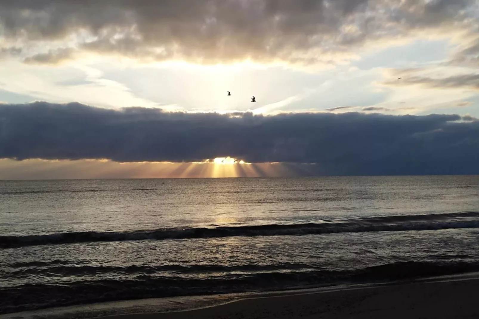 OG links 50 qm-Gebieden zomer 1km
