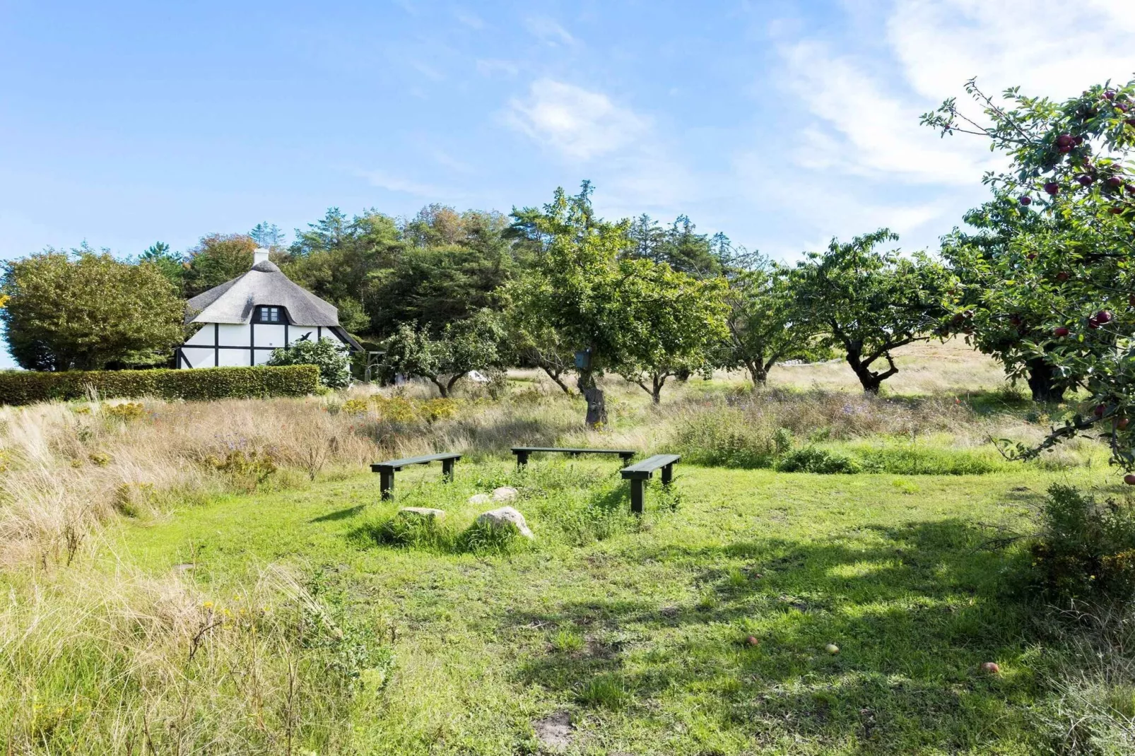 5 sterren vakantie huis in Bagenkop-Uitzicht