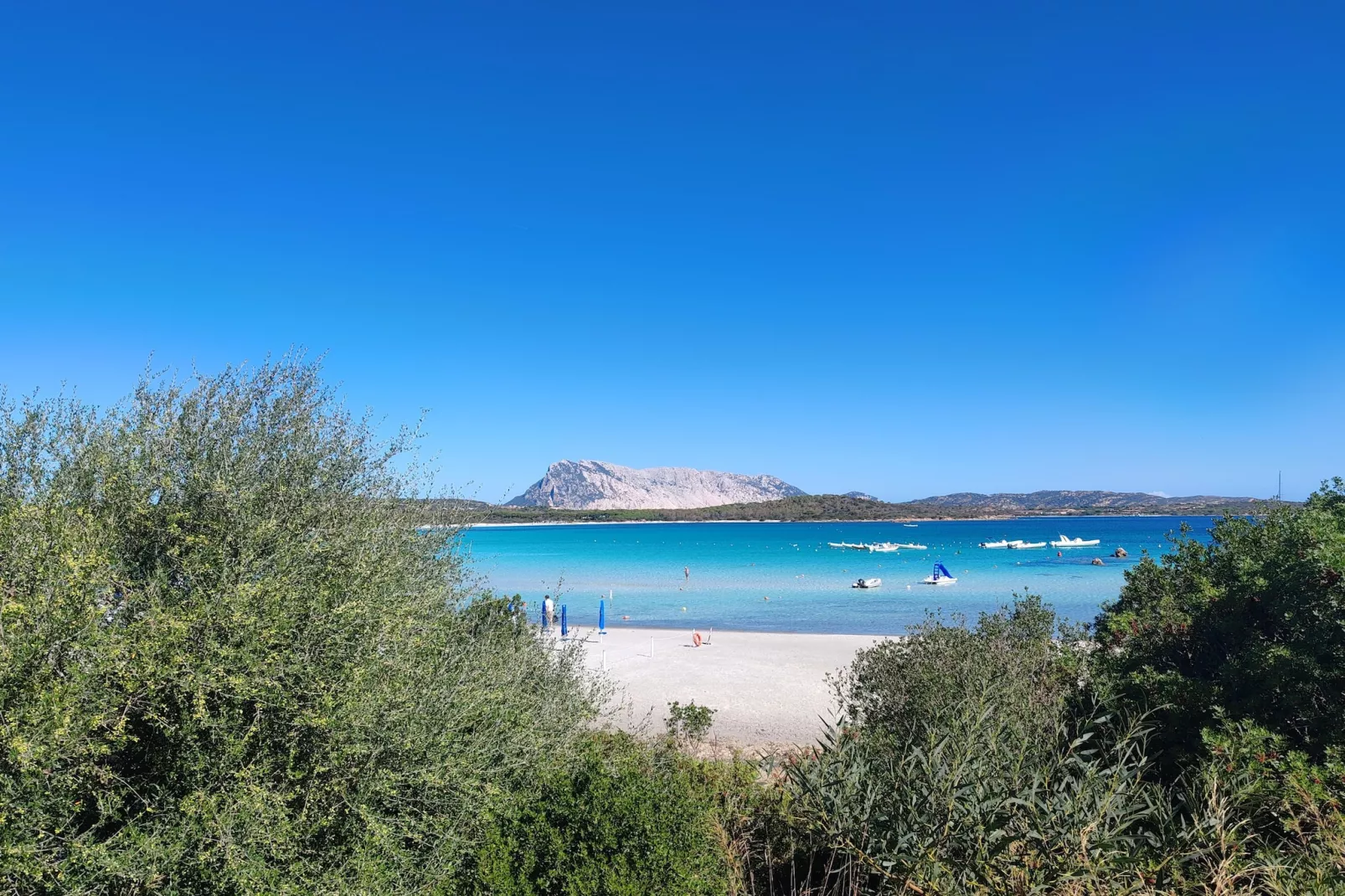Residenza L'Oasi-Gebieden zomer 20km