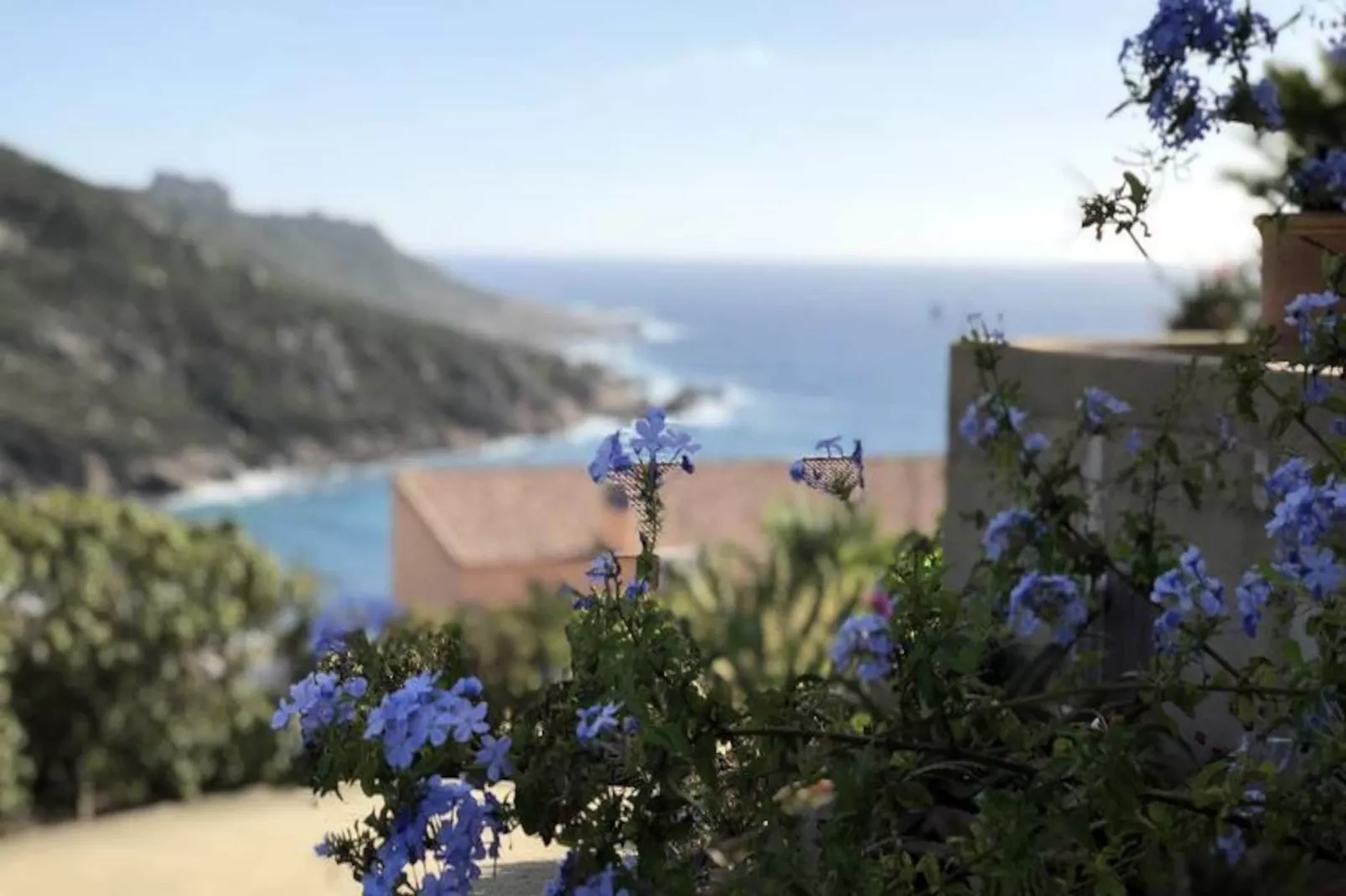 Résidence Sull001-sartene-Niet-getagd