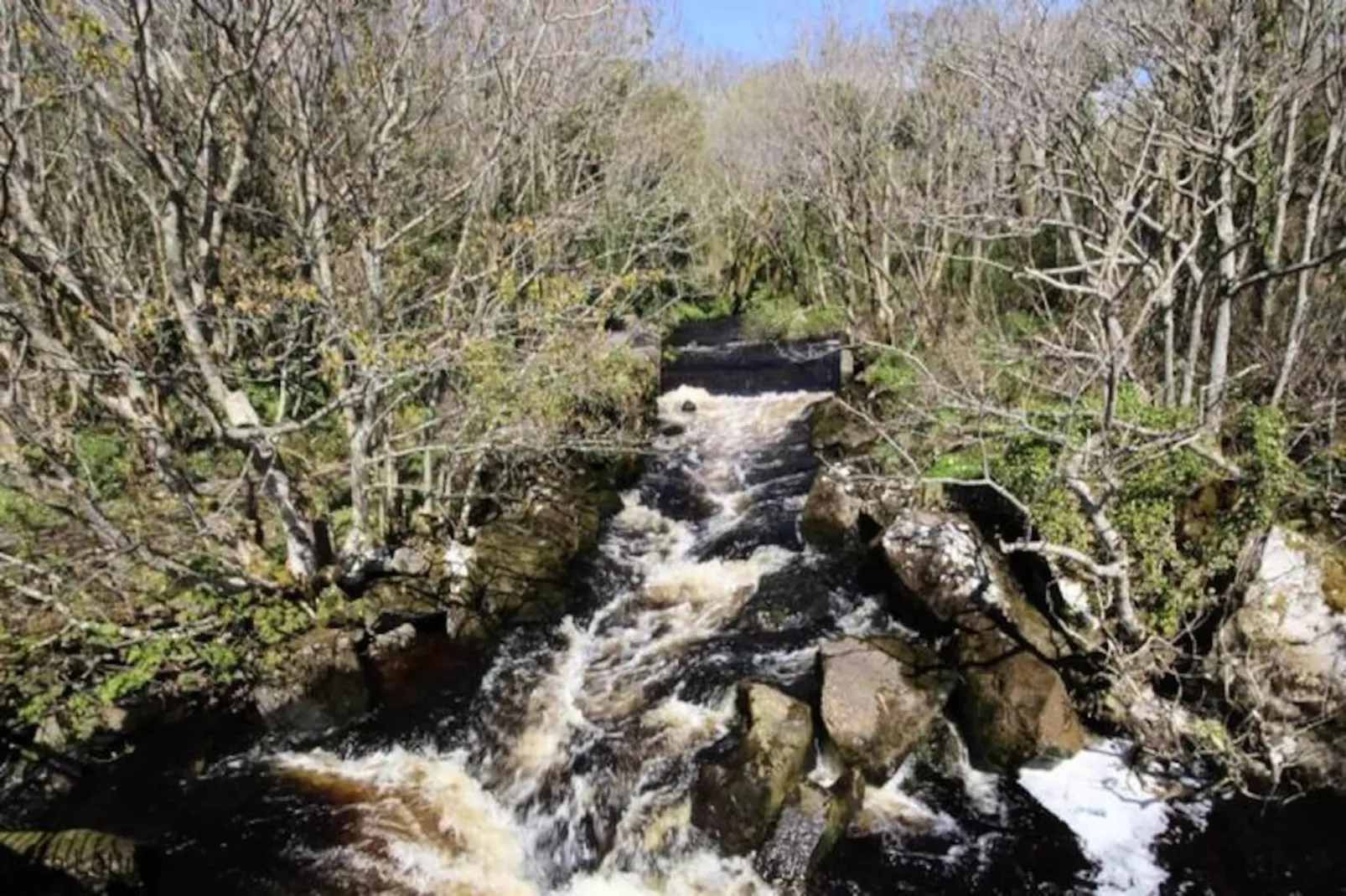 Mobil Home - Bungalow - Cottage à Spiddal Galway-Niet-getagd