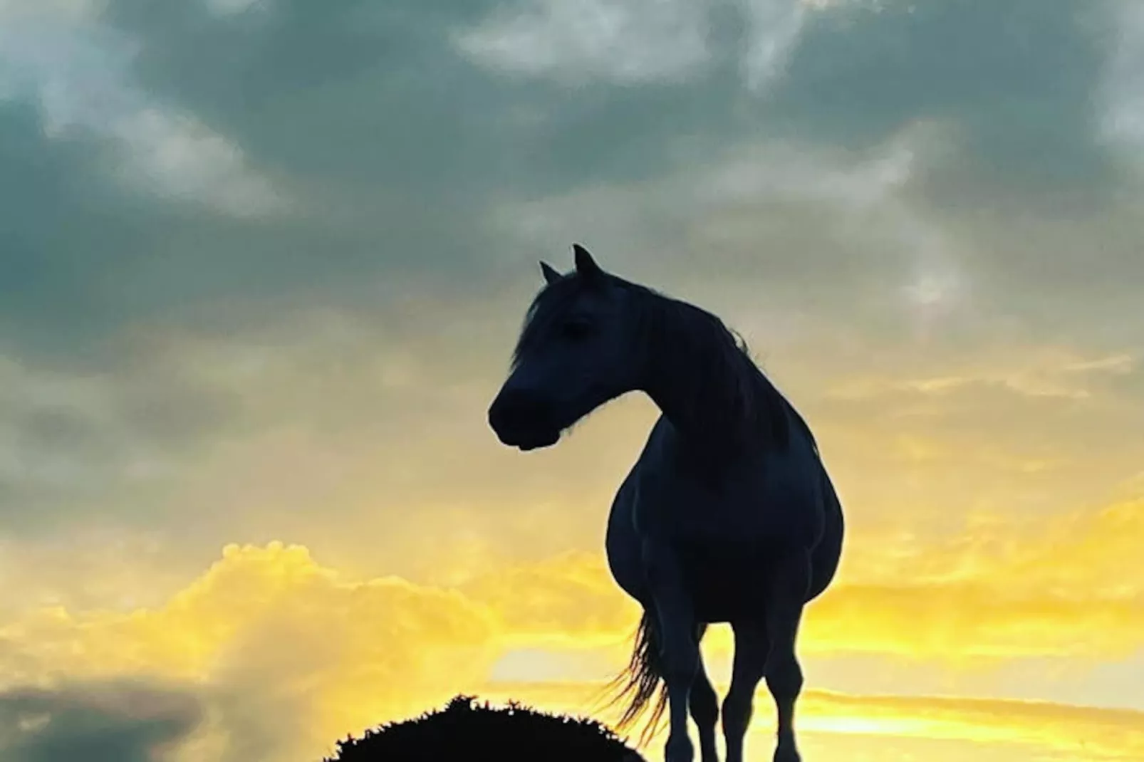 Mobil Home - Bungalow - Cottage à Ballyconneely Galway-Niet-getagd