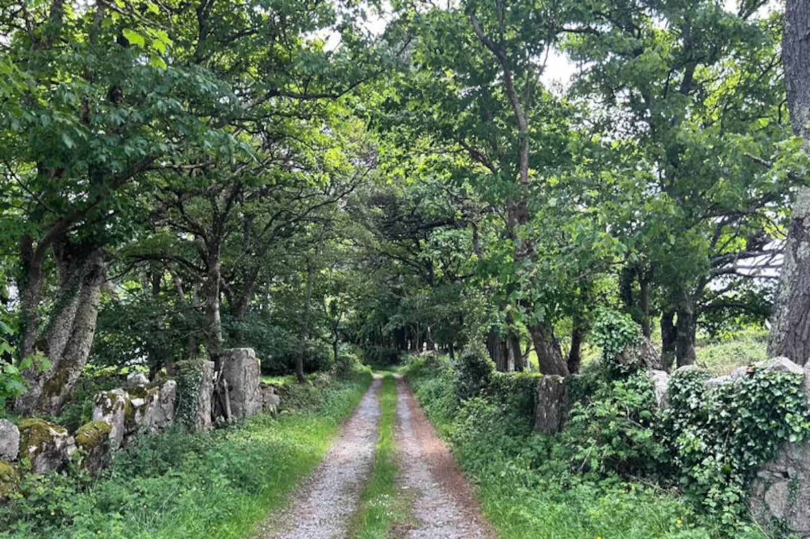 Maison à Rosmuck-Niet-getagd
