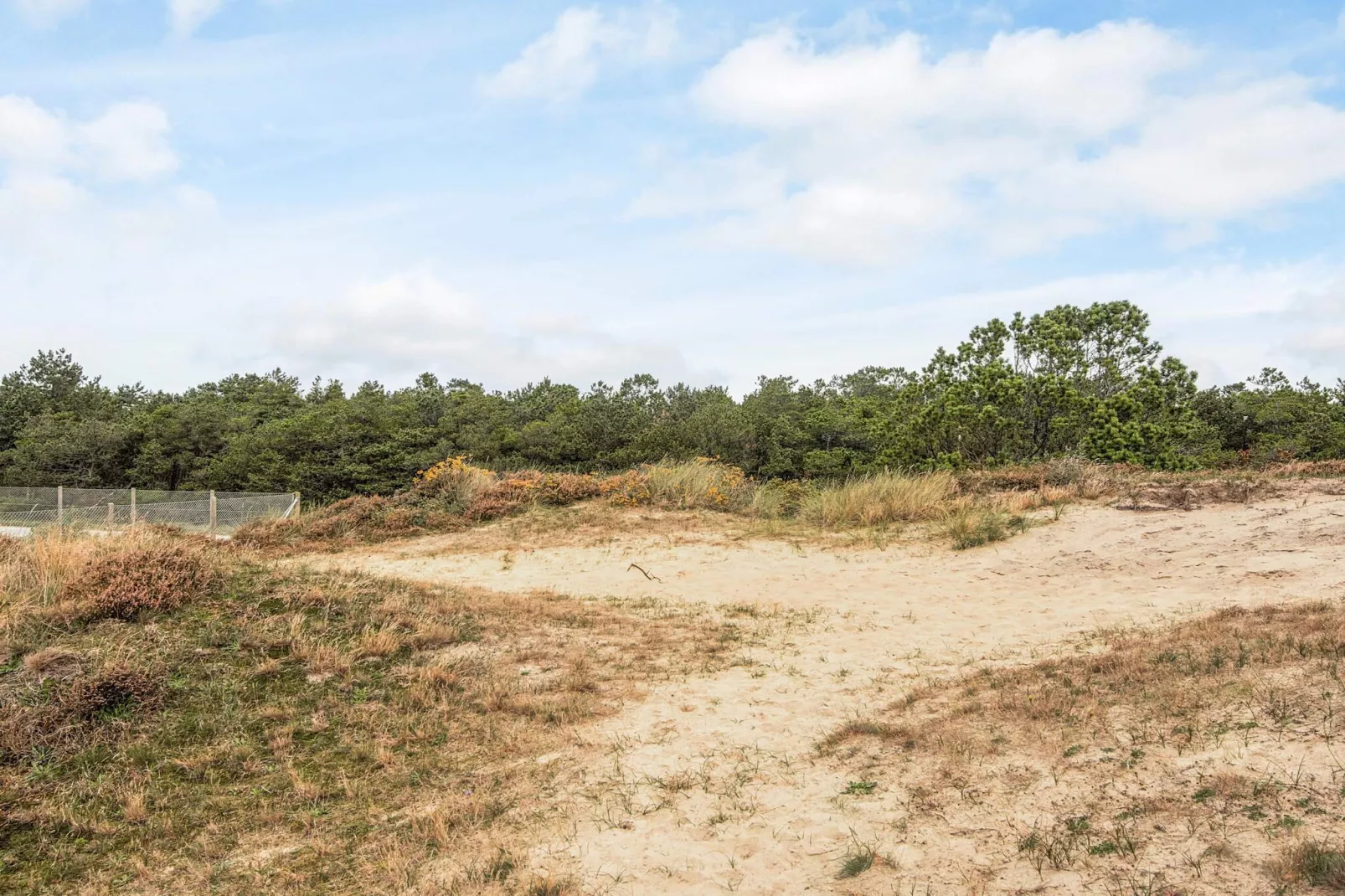 RIM FERIECENTER-Uitzicht