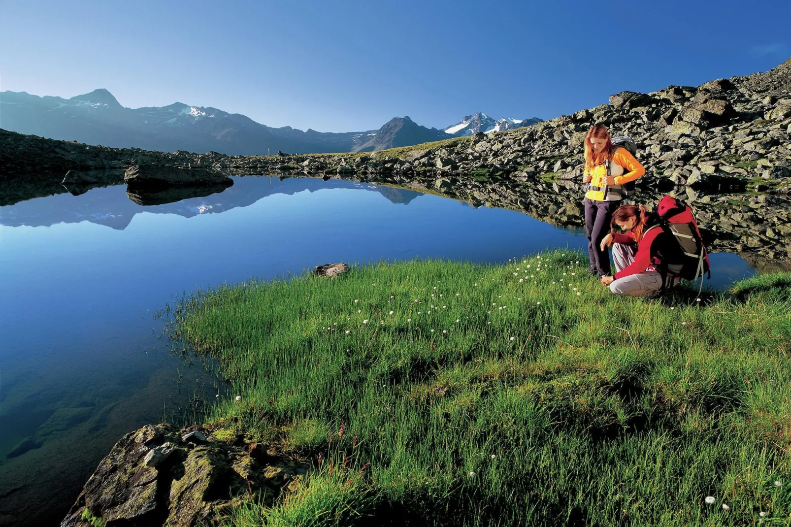 Grüner-Gebieden zomer 5km