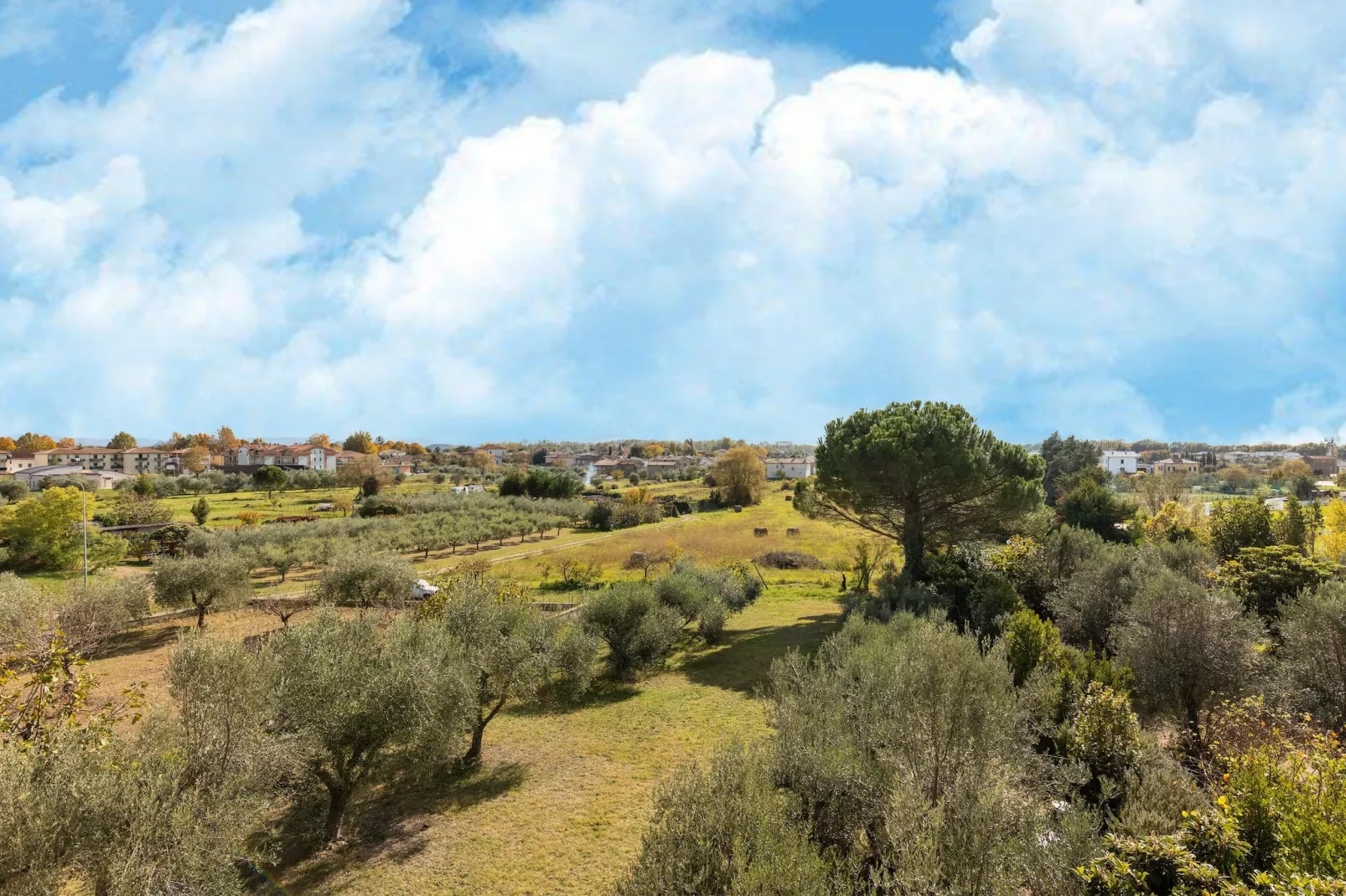 Casa Tommaso - bilo 1 P - 4 pax-Gebieden zomer 20km