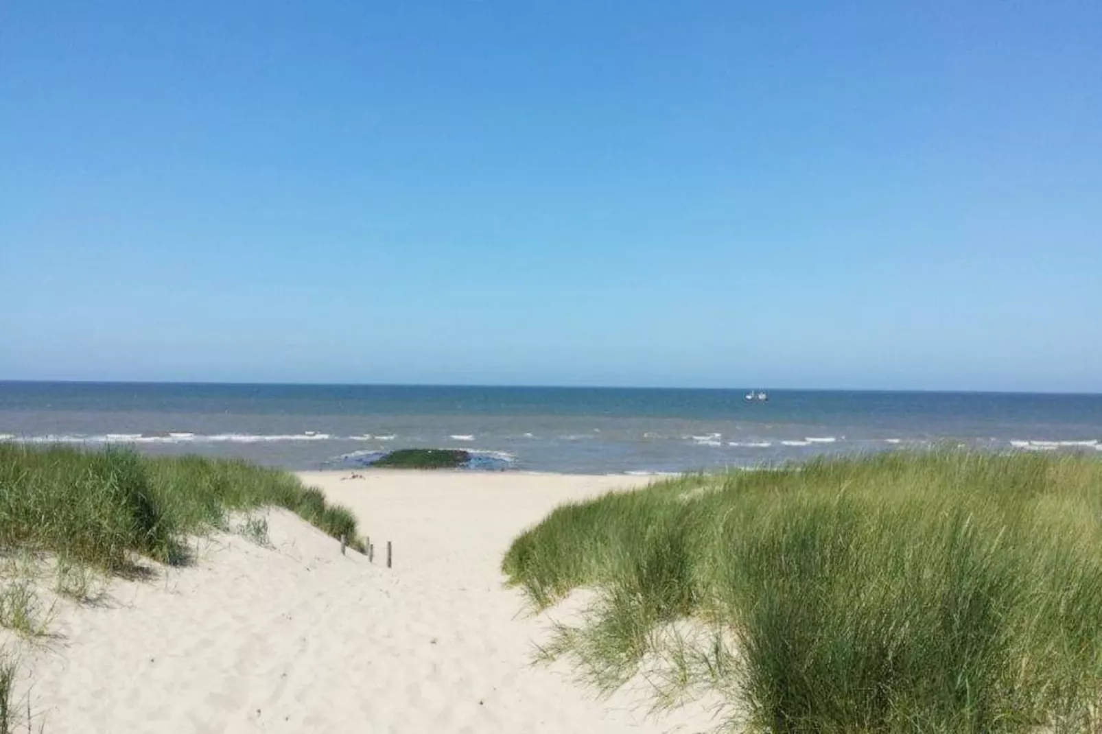 De Biotoop-Gebieden zomer 5km