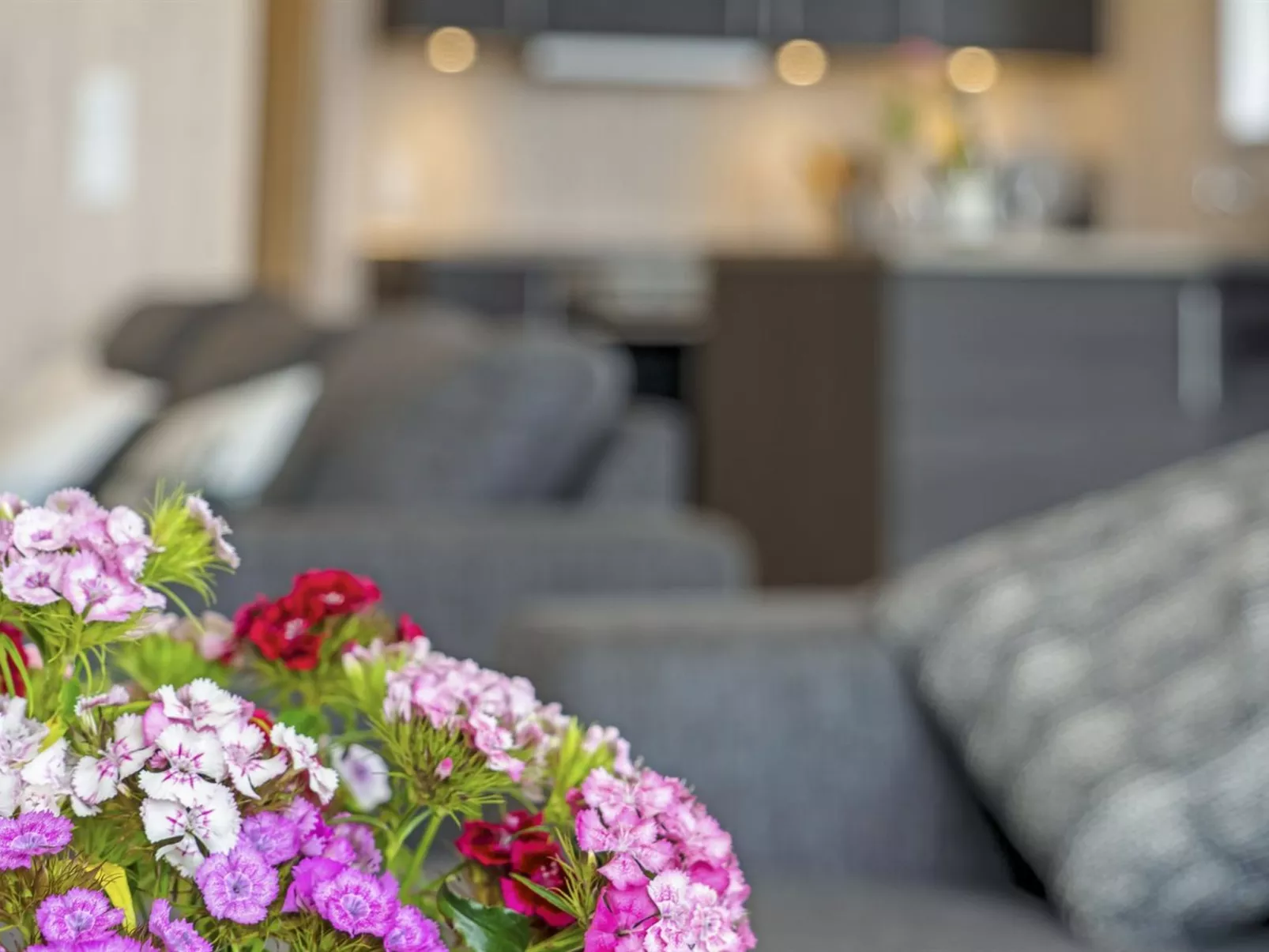 "Mavis" - 800m from the sea-Binnen