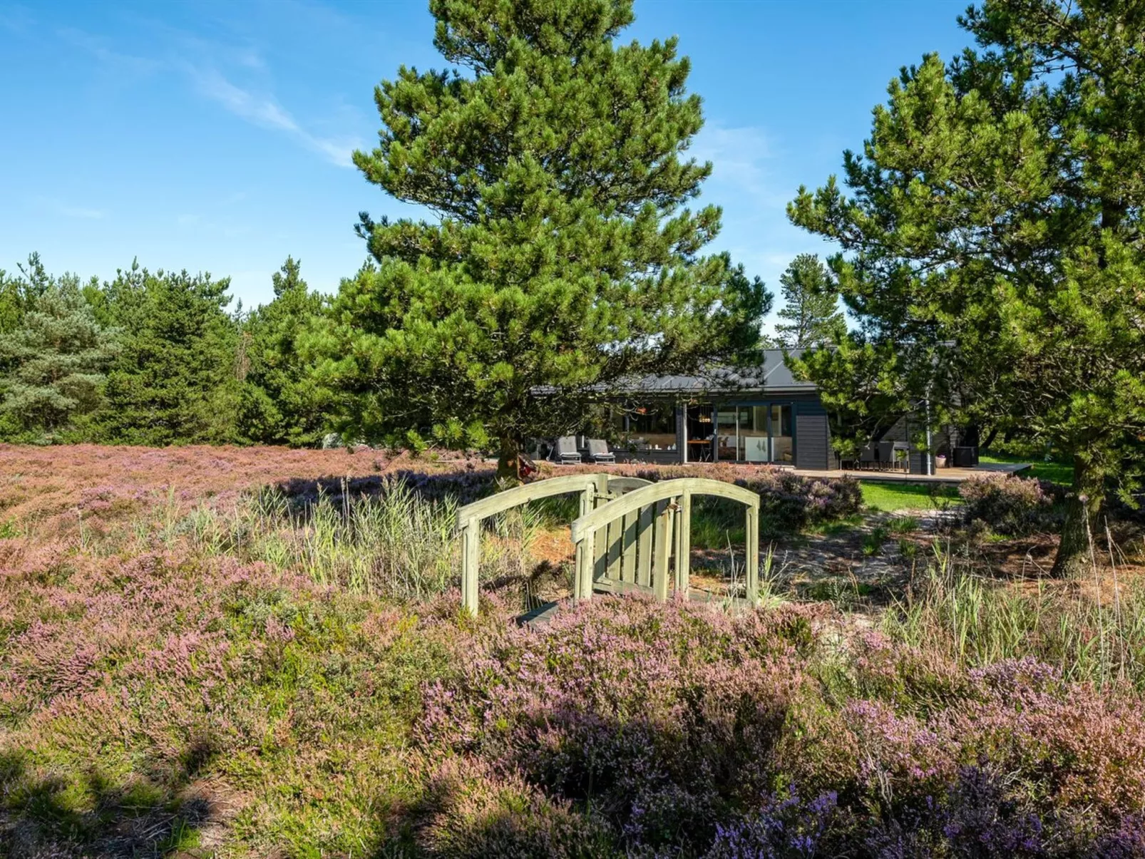 "Tea" - 2.7km from the sea-Buiten