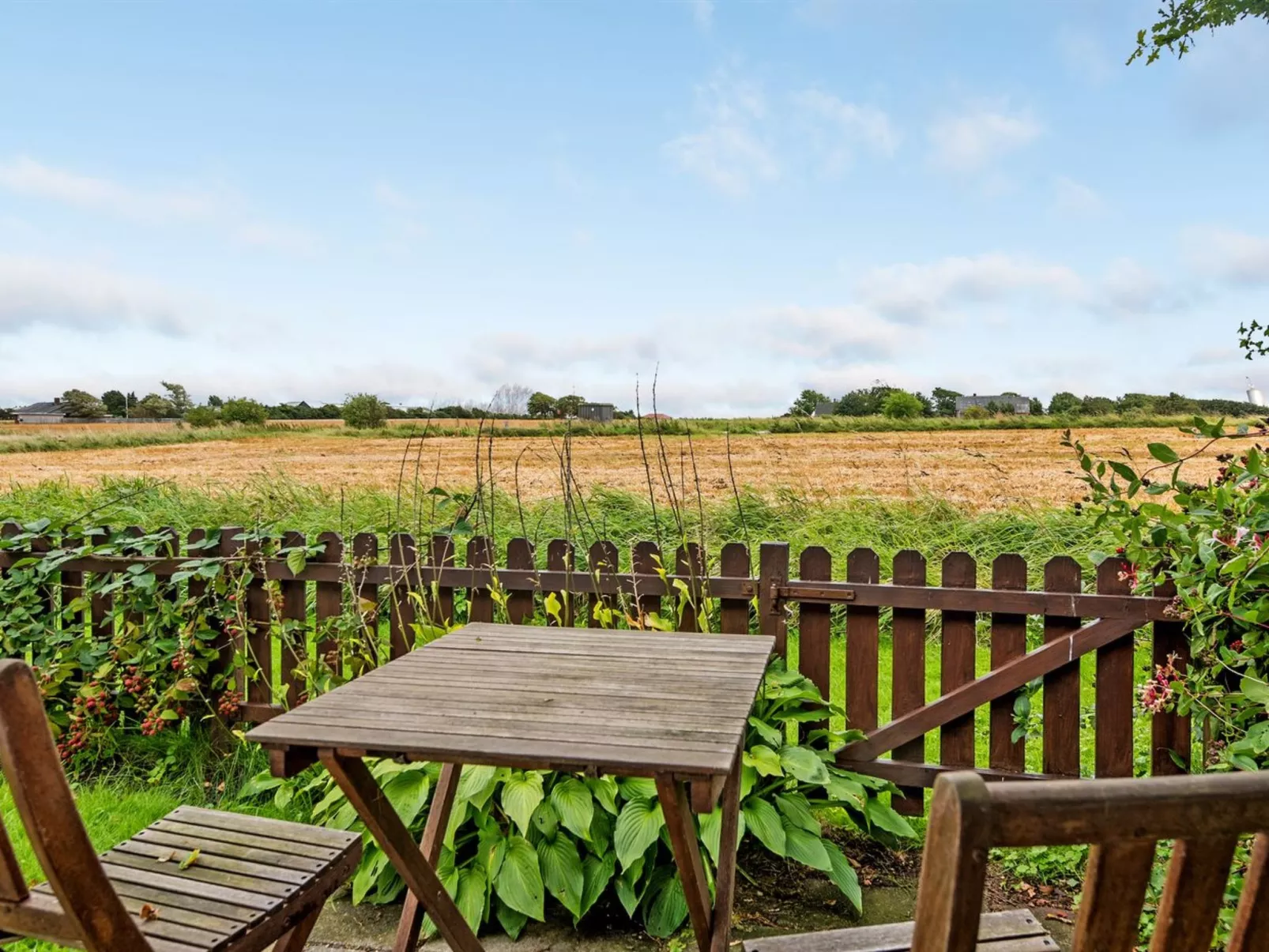 "Clausina" - 600m from the sea-Buiten