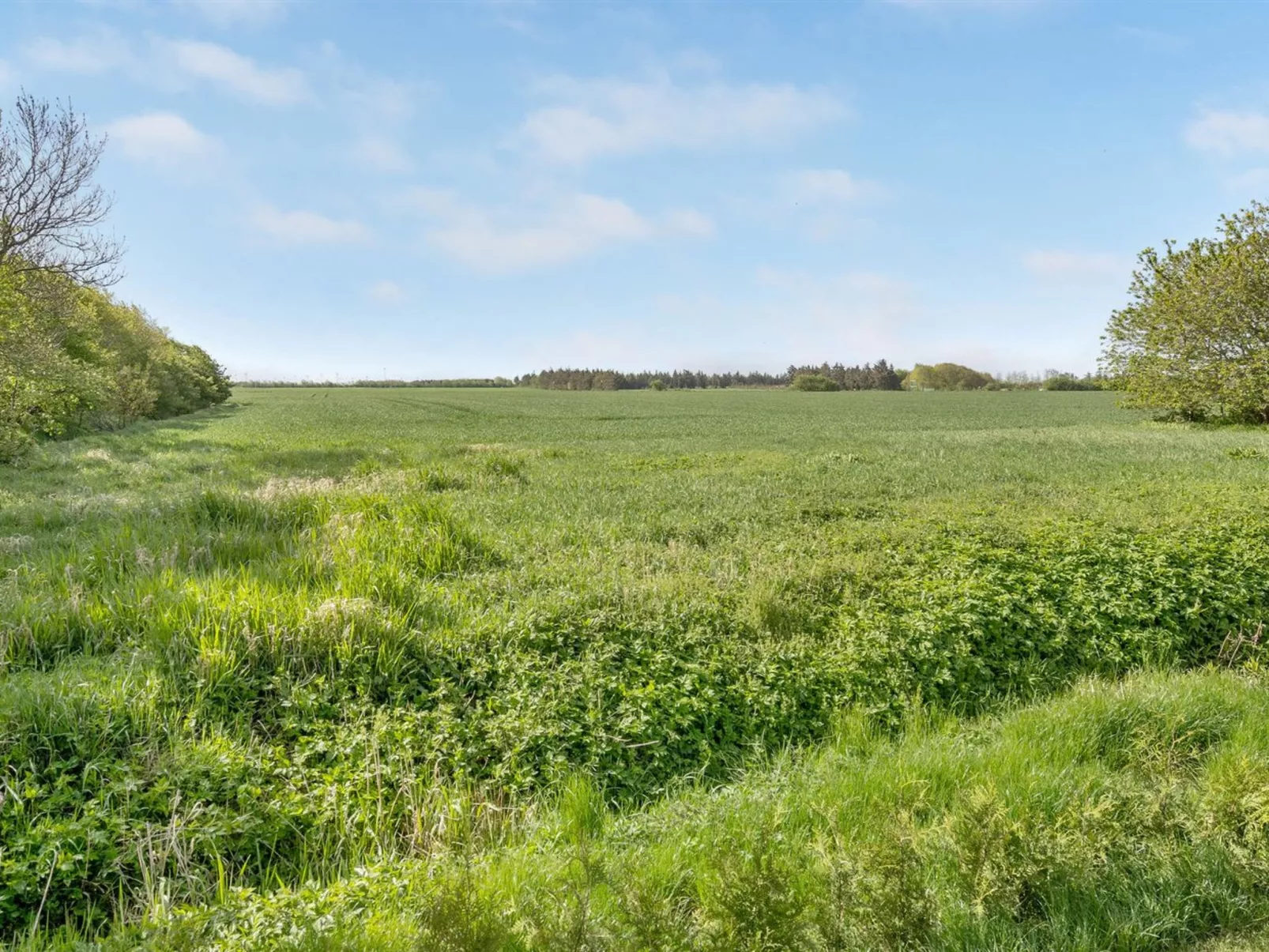 "Aliza" - 14km from the sea-Buiten