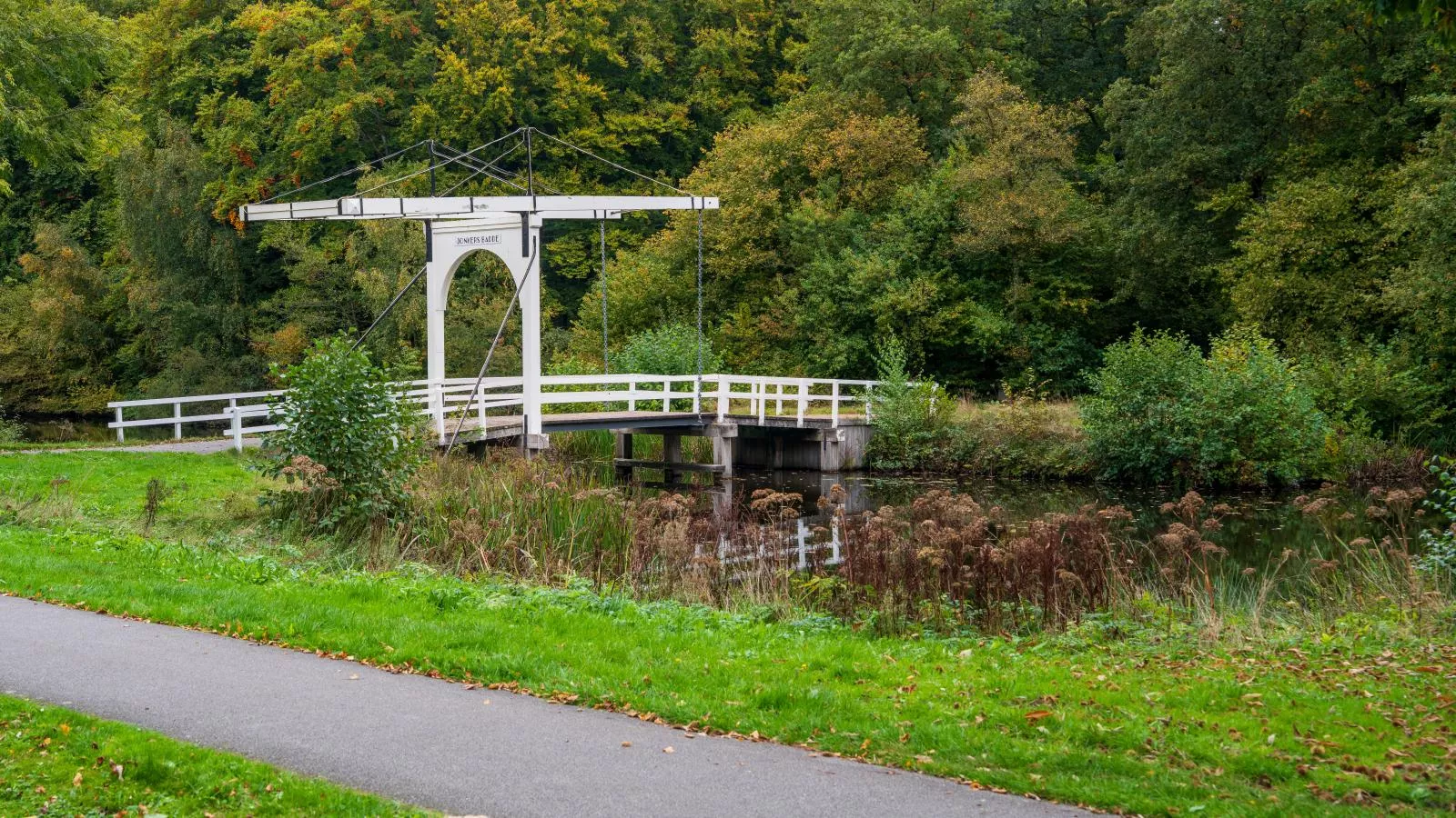 Rutershoeske-Gebieden zomer 1km