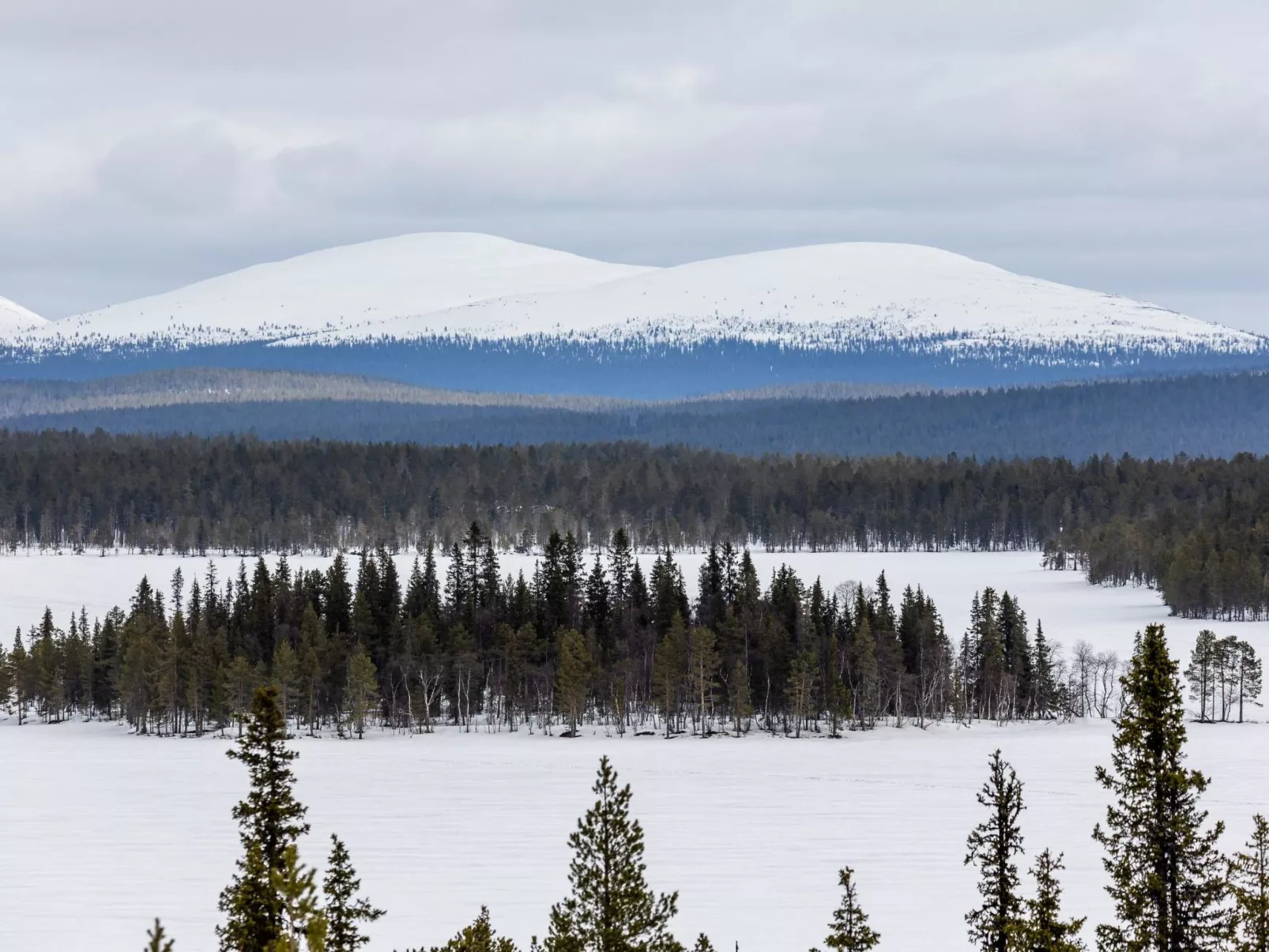 Lappi dream house-Binnen