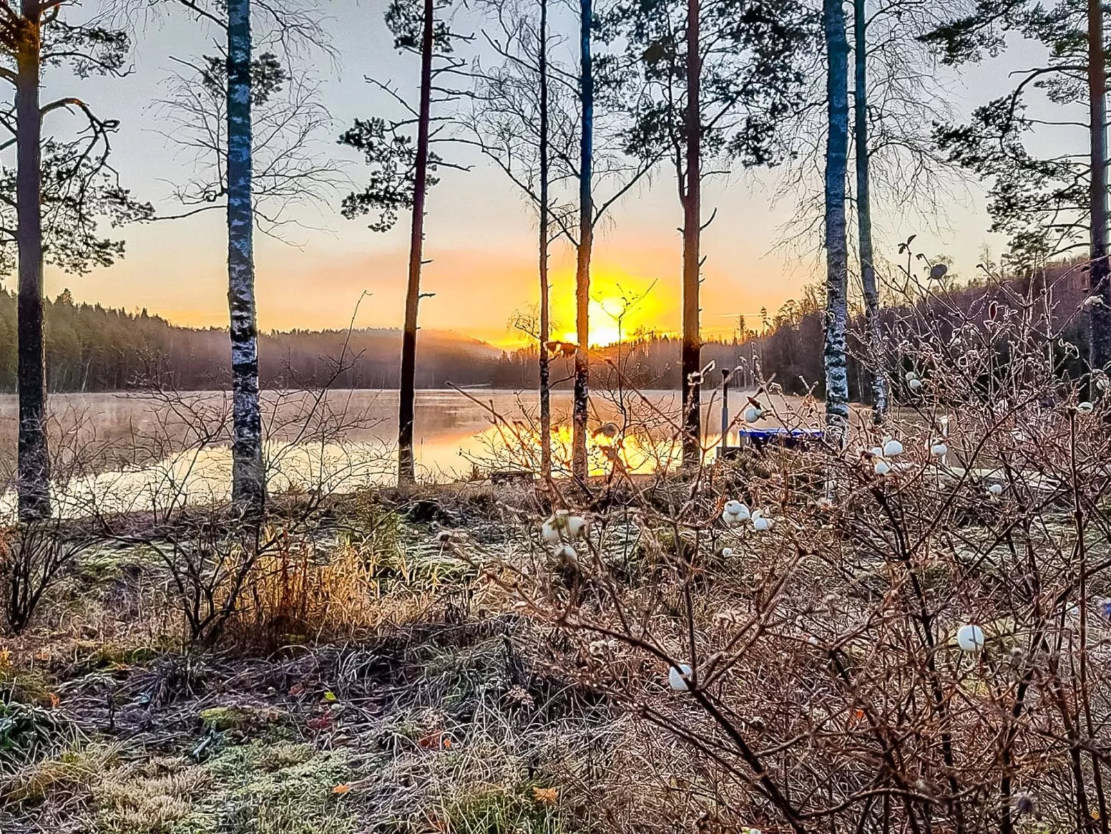 Villa ahomoisio-Binnen