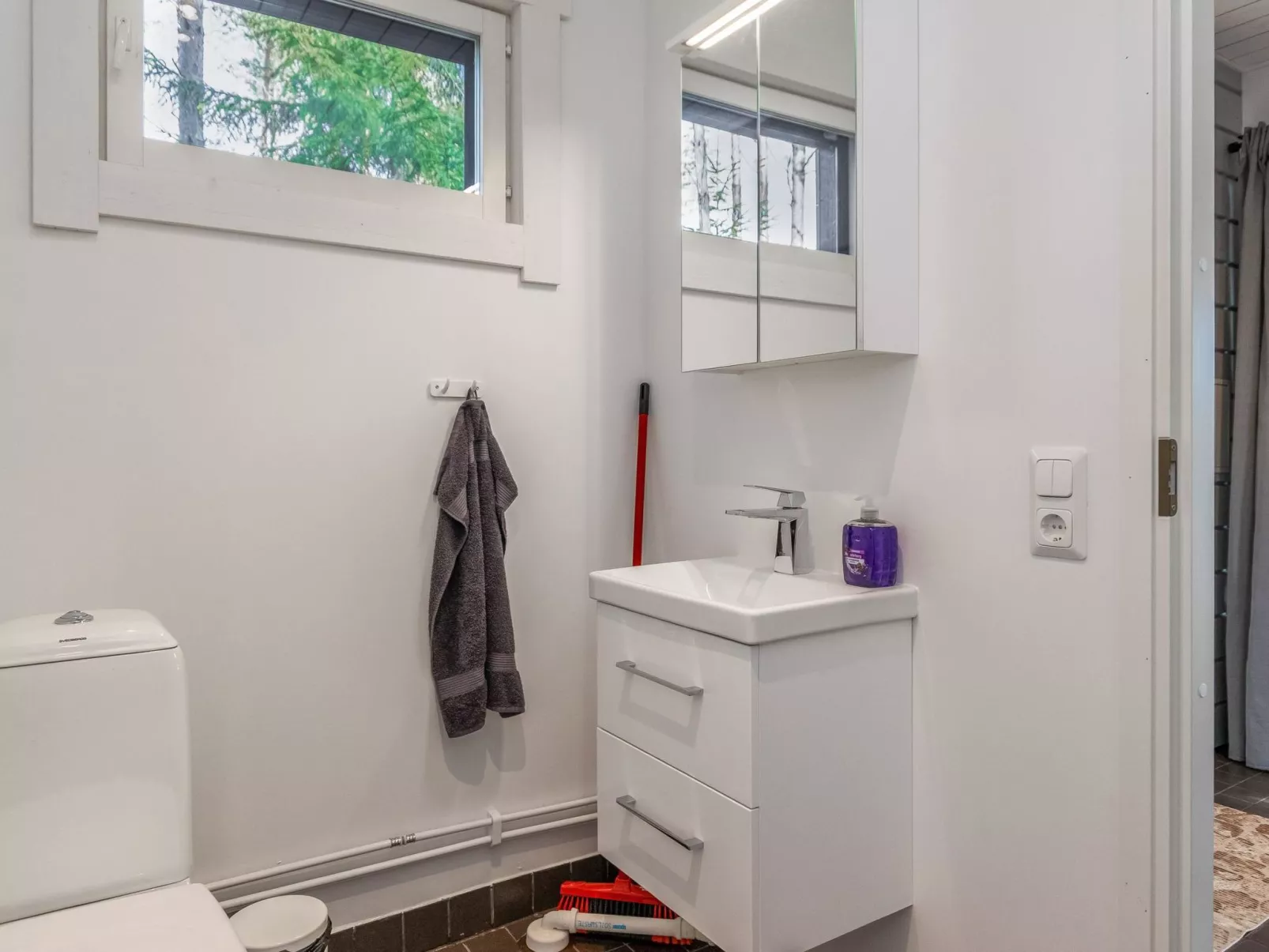 Järven idylli-Binnen