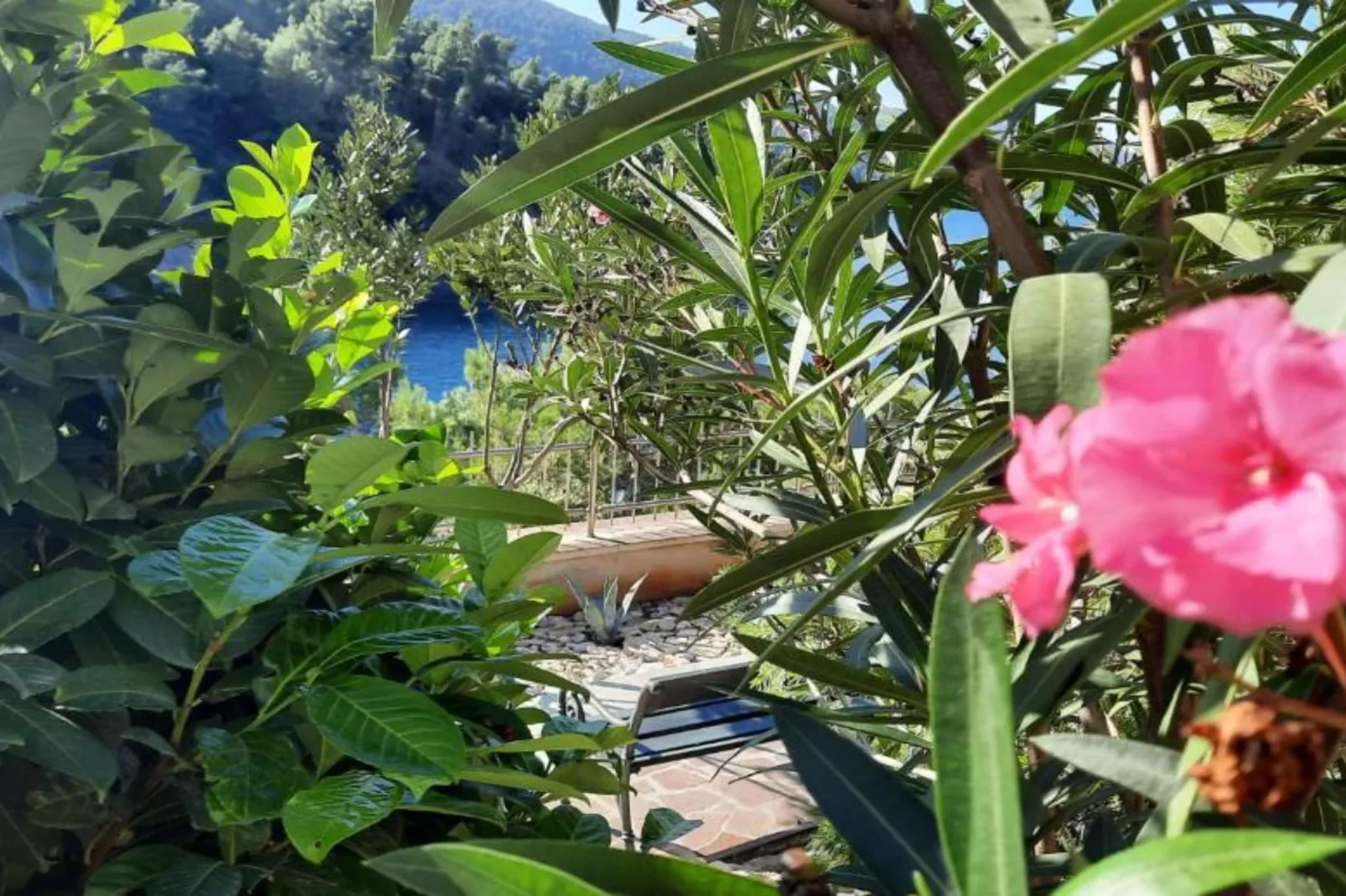 Beachfront Luxury Villa with Private Pool and Stunning Sea Views-Buitenlucht