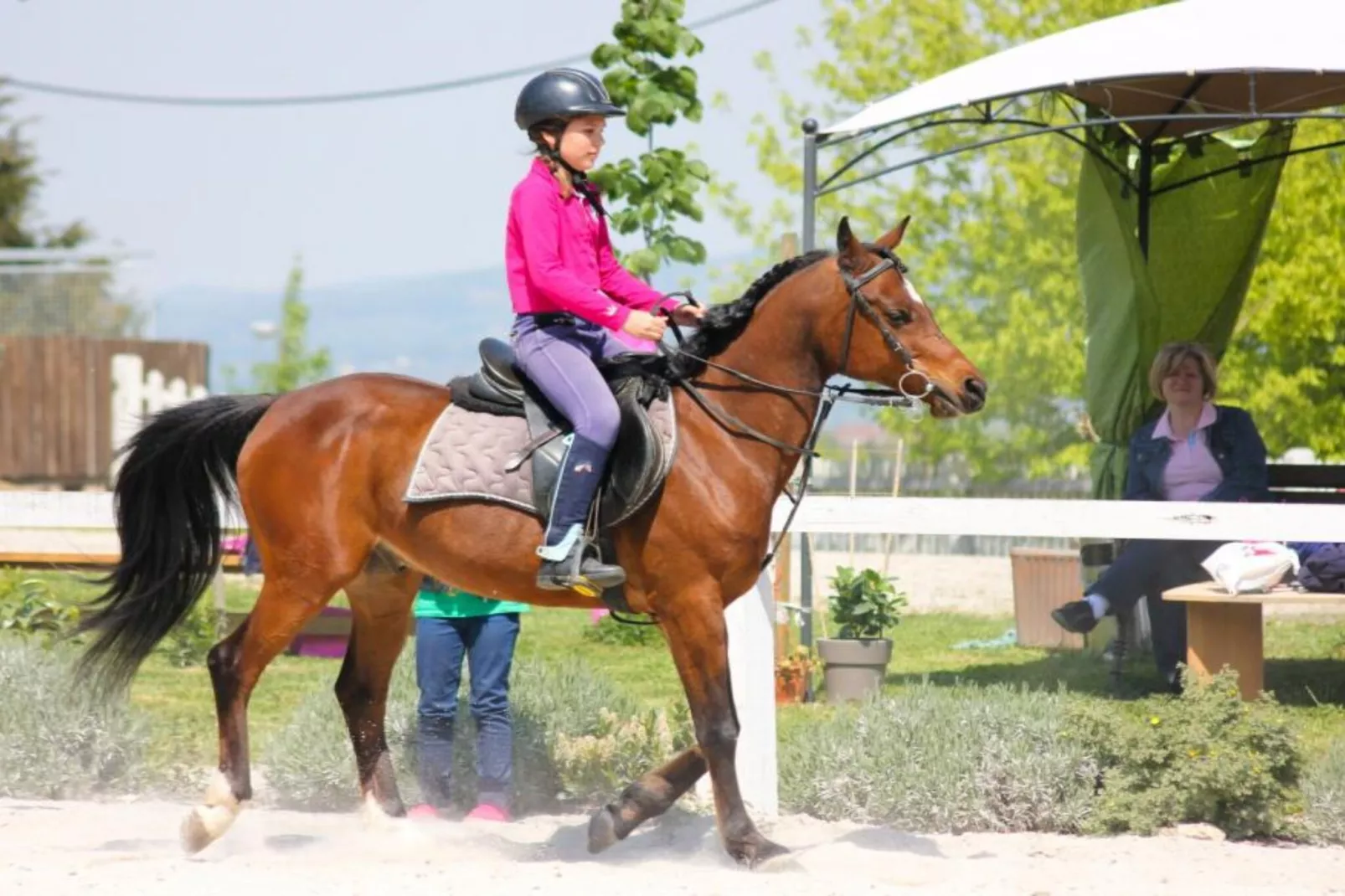 Zevnik Quiet Retreat with Stunning Views and Equestrian Activities - One Bedroom Apartment-Buitenlucht