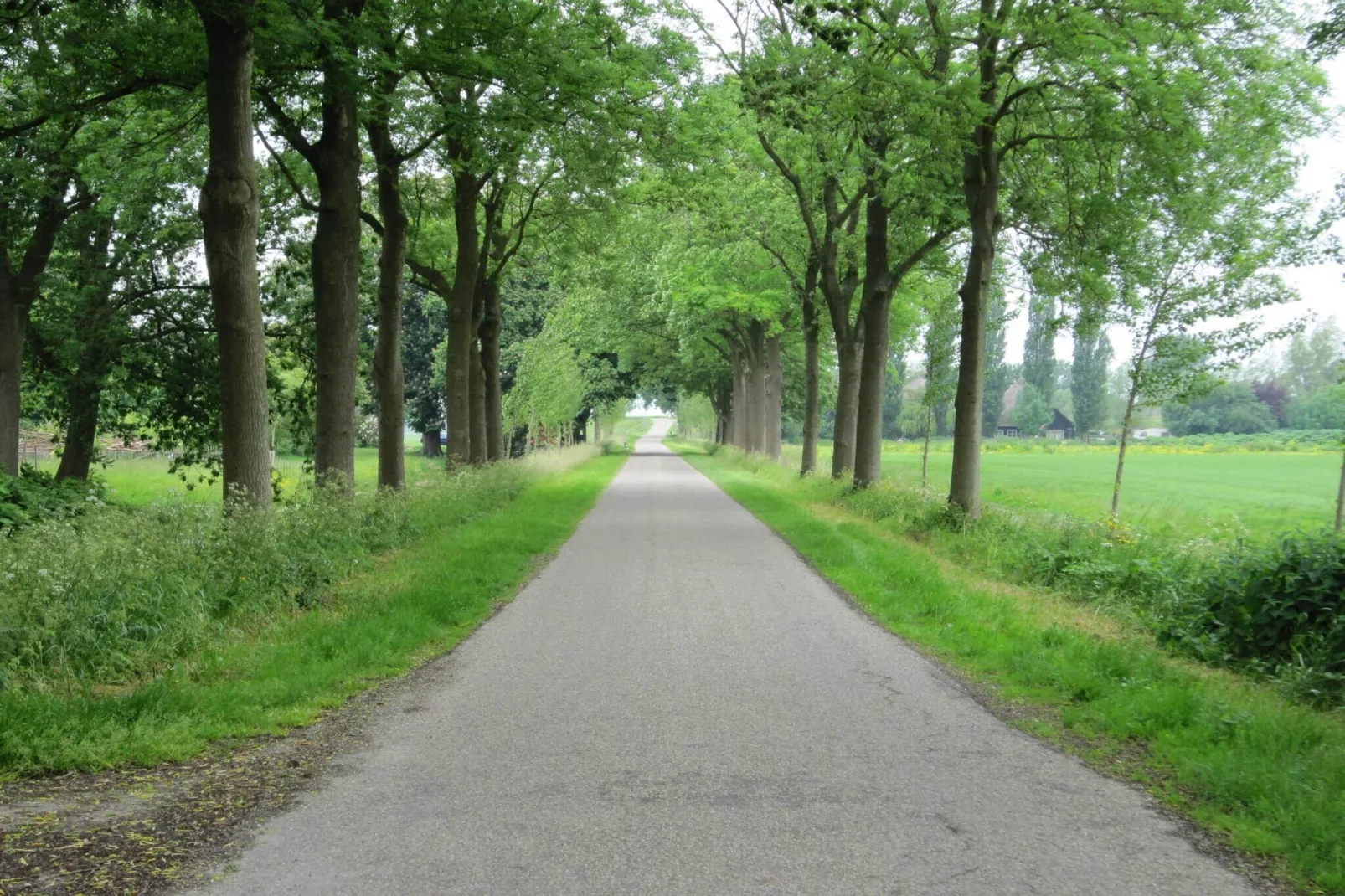 BELLEVUE-Gebieden zomer 1km