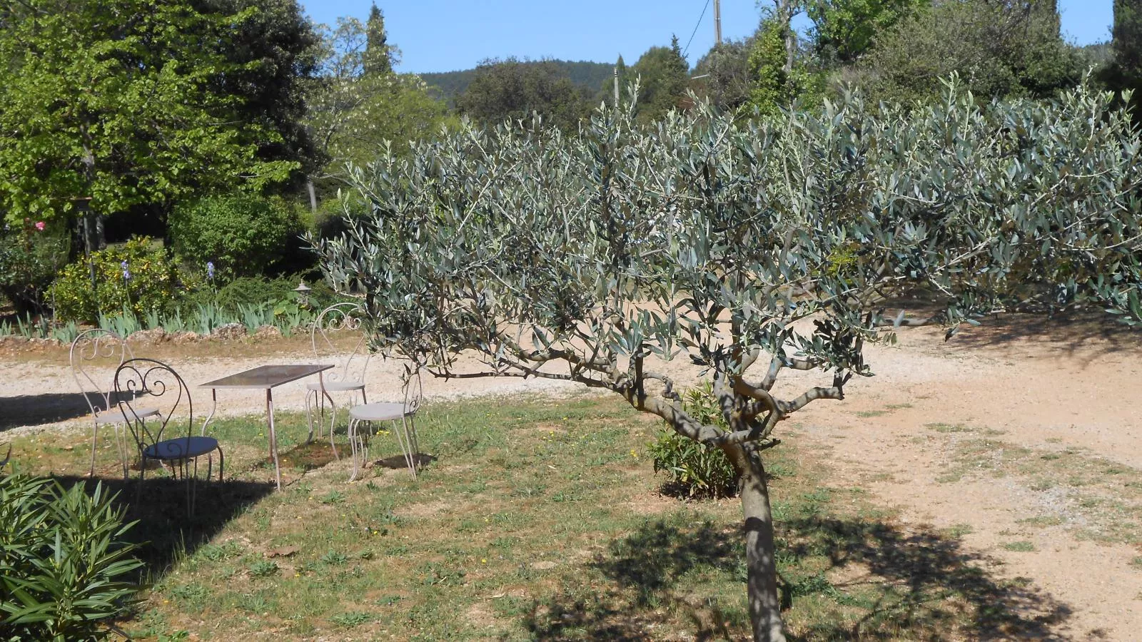 Le clos de la Tuf-Tuinen zomer