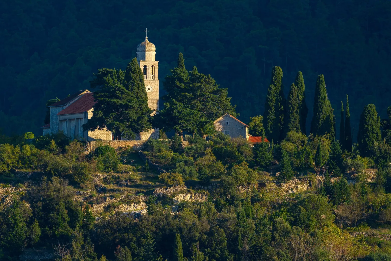 Authentic Villa Fisola-Gebieden zomer 1km
