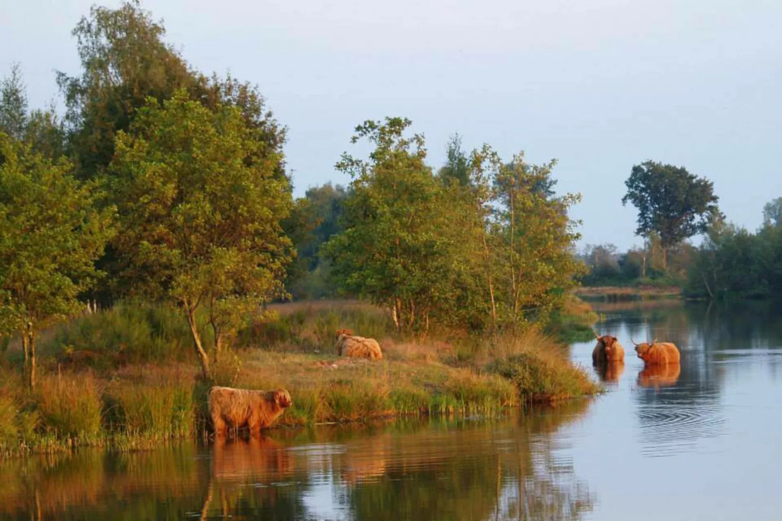 Reestdal lodge | 6 persoons - Gebieden zomer 5km