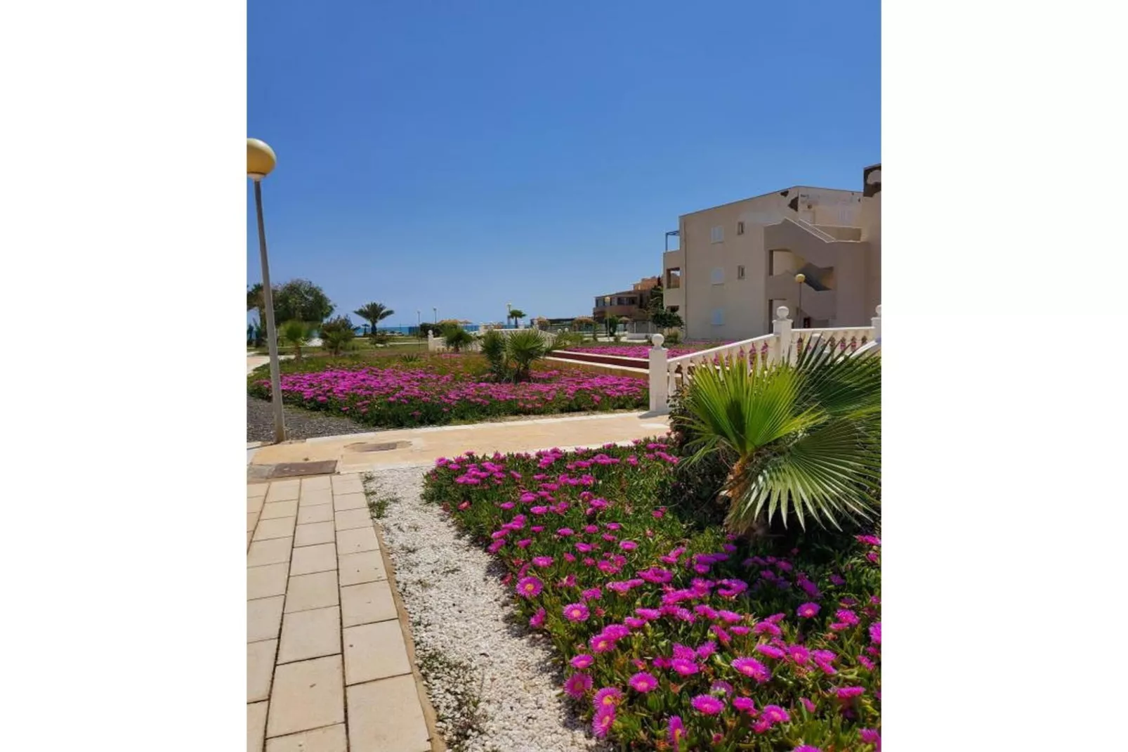 CT 369 AL - Faro's Apartmento Naturista - Primera Linea Vera Playa-Tuinen zomer