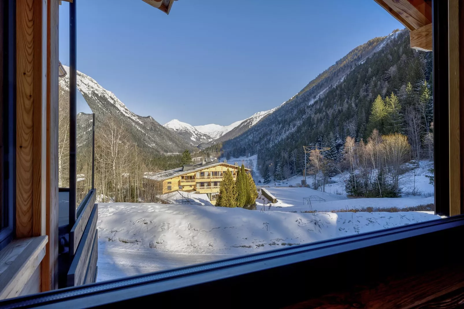 Silver Forest-Uitzicht winter