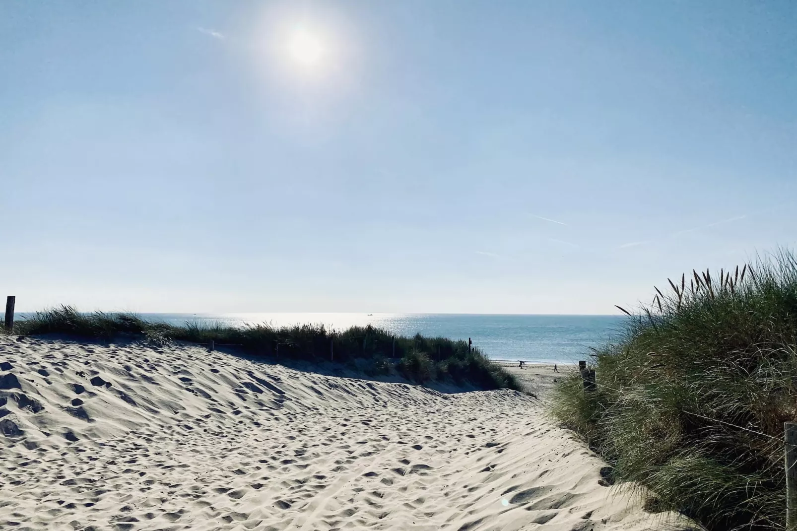 De Biotoop-Gebieden zomer 20km