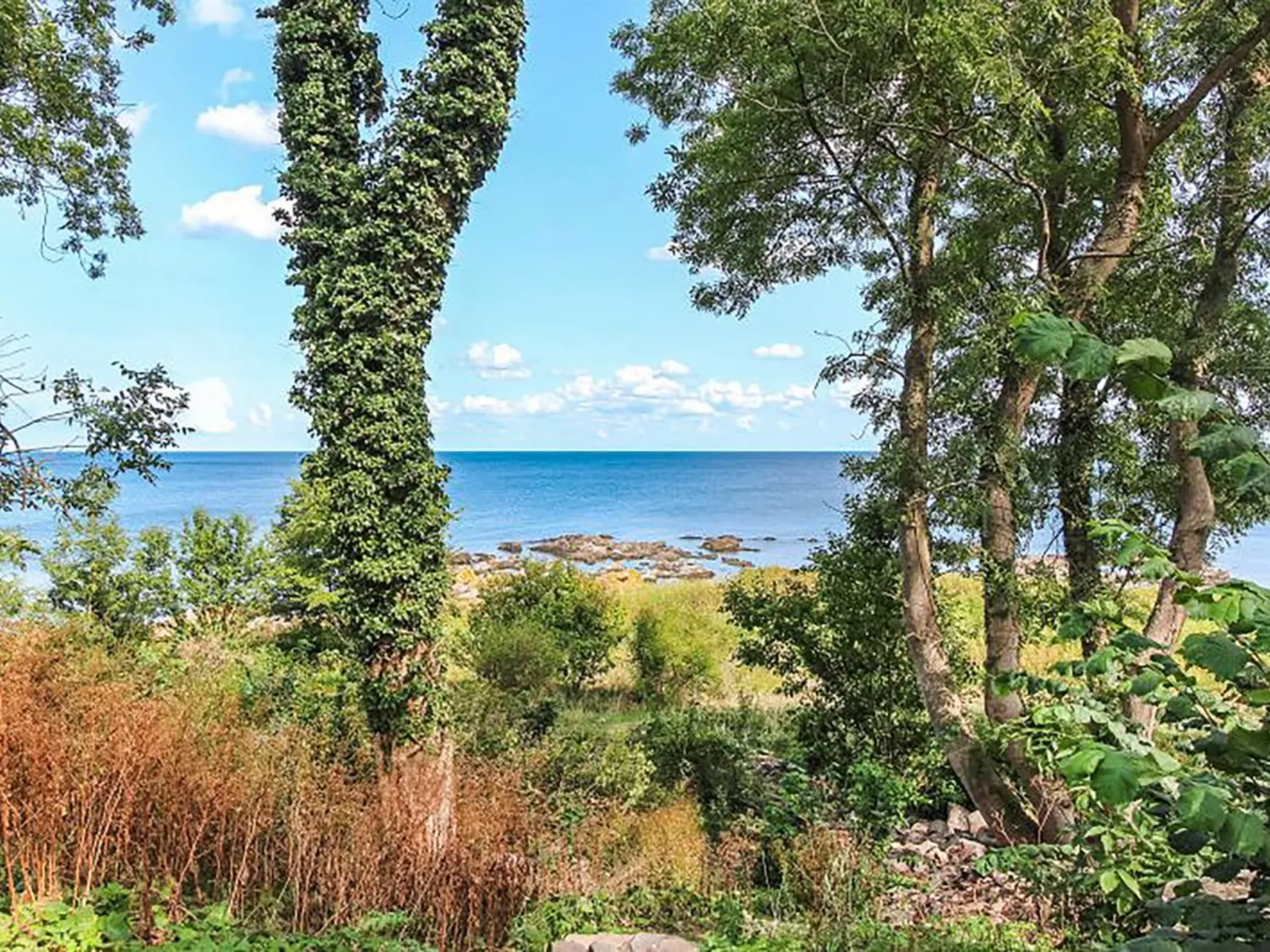 "Nyyrikki" - 100m from the sea-Buiten