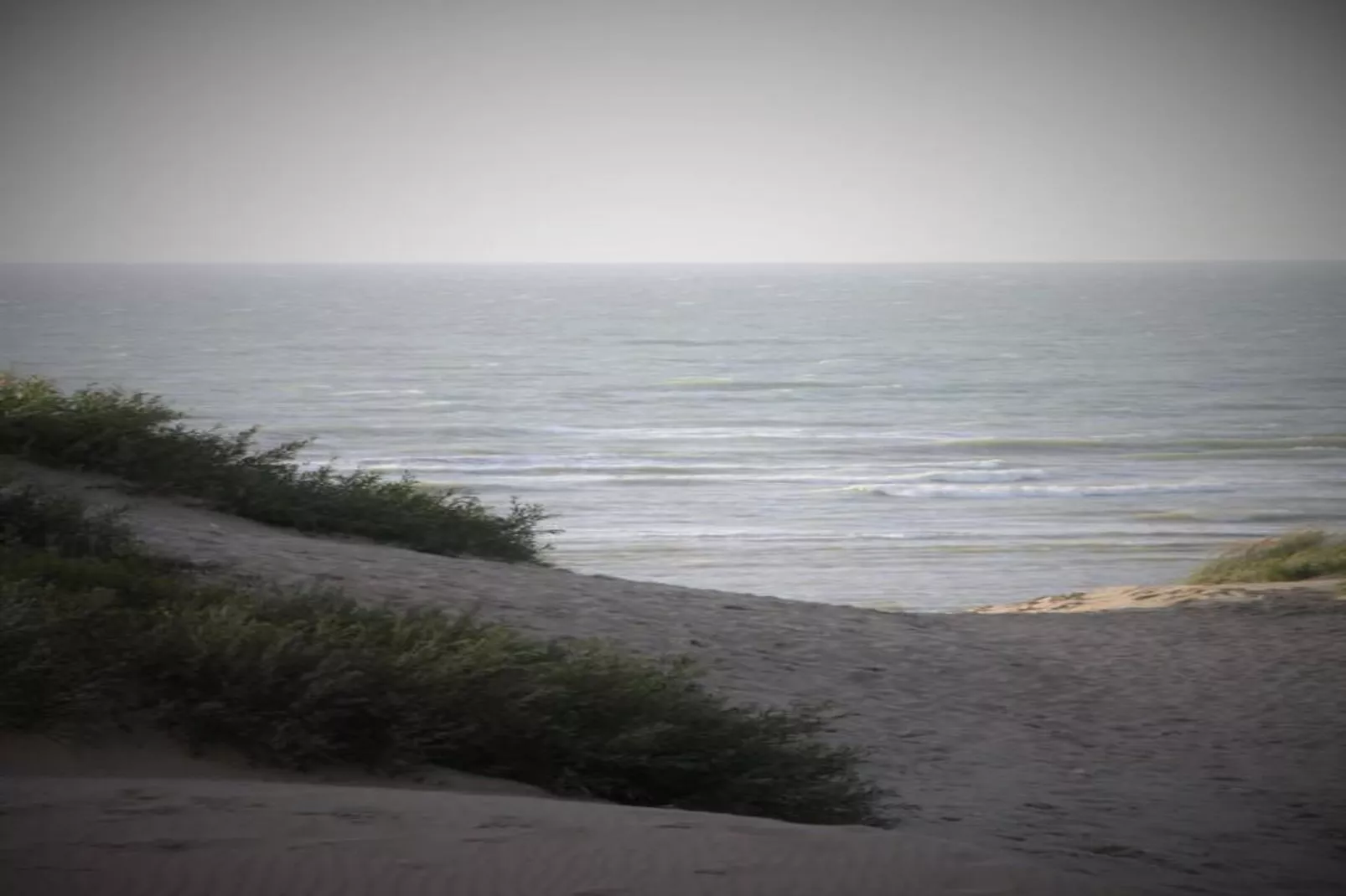 Manderley 0304-Gebieden zomer 20km