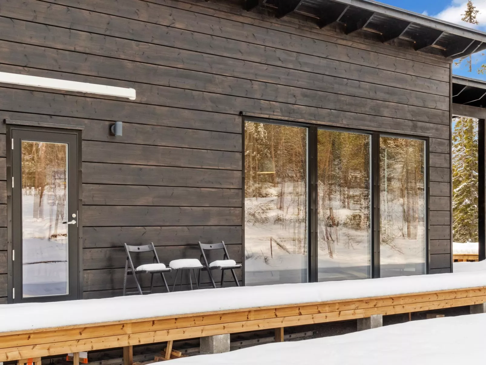 Sallan kuukkeli-Binnen