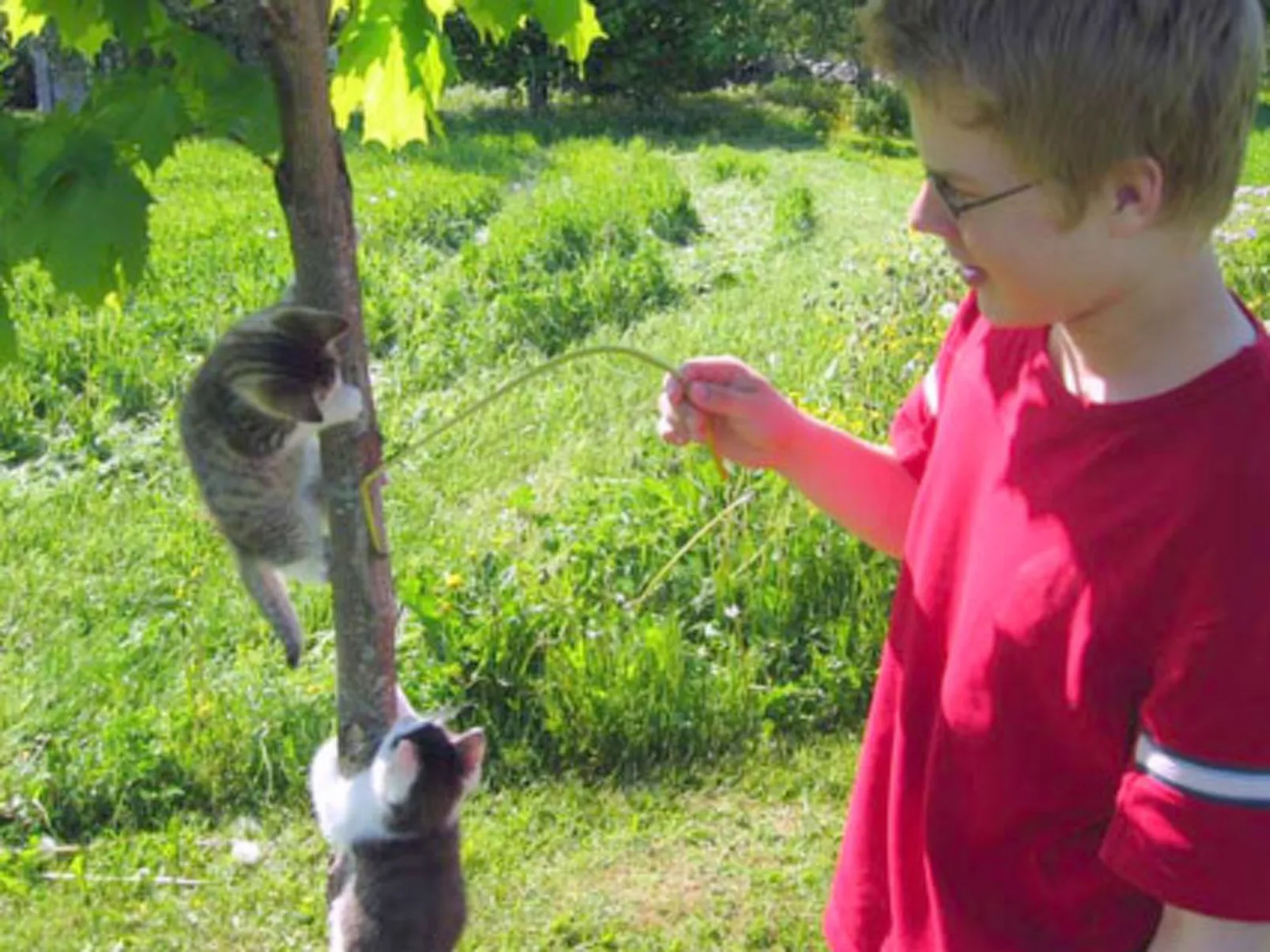 Vaaran loma-asunto-Binnen