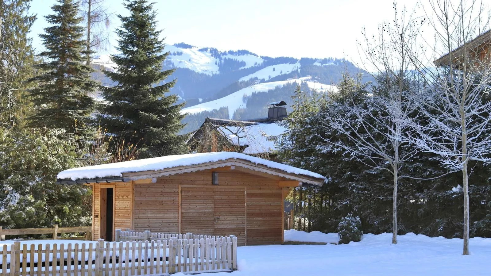 Luxury Central Kirchberg-Tuin winter