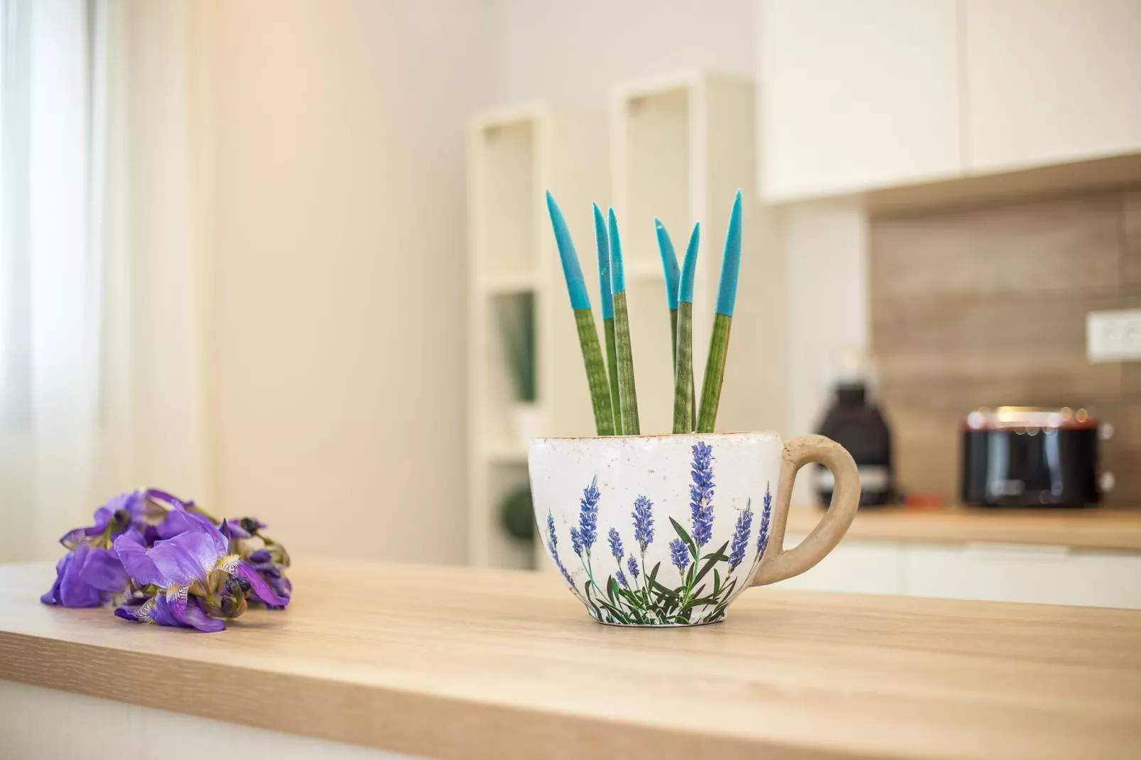 The Sisters Villa-Sfeer