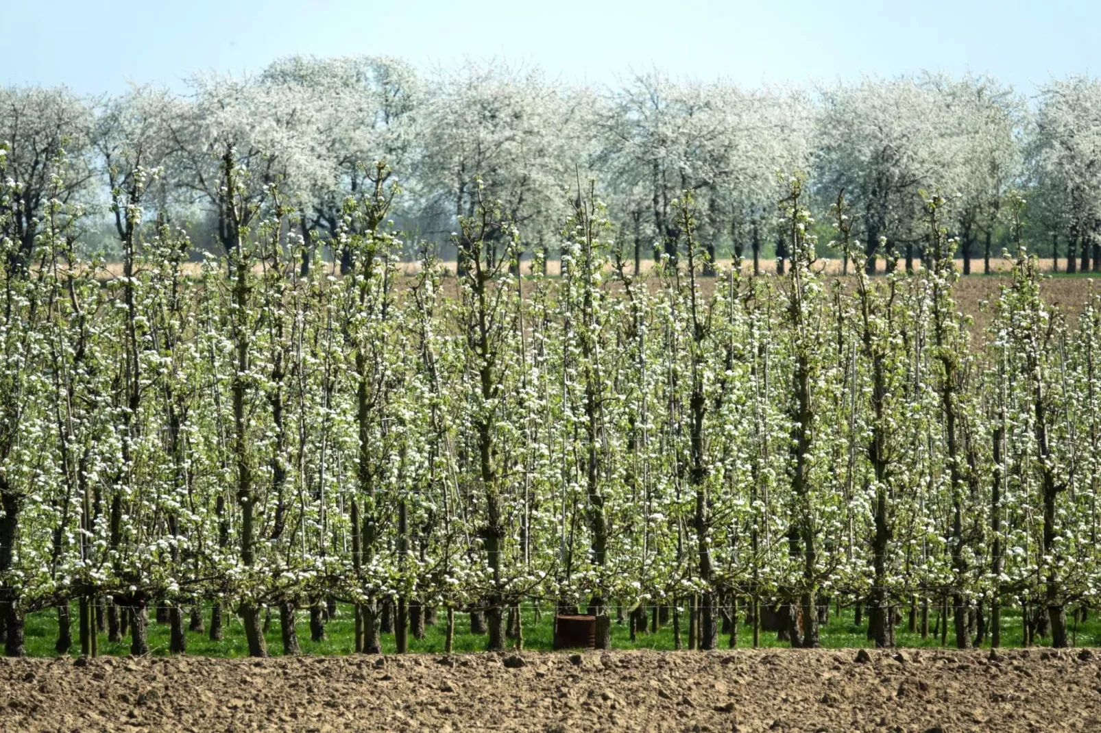 De Smishoeve volledig - met wellness-Gebieden zomer 1km