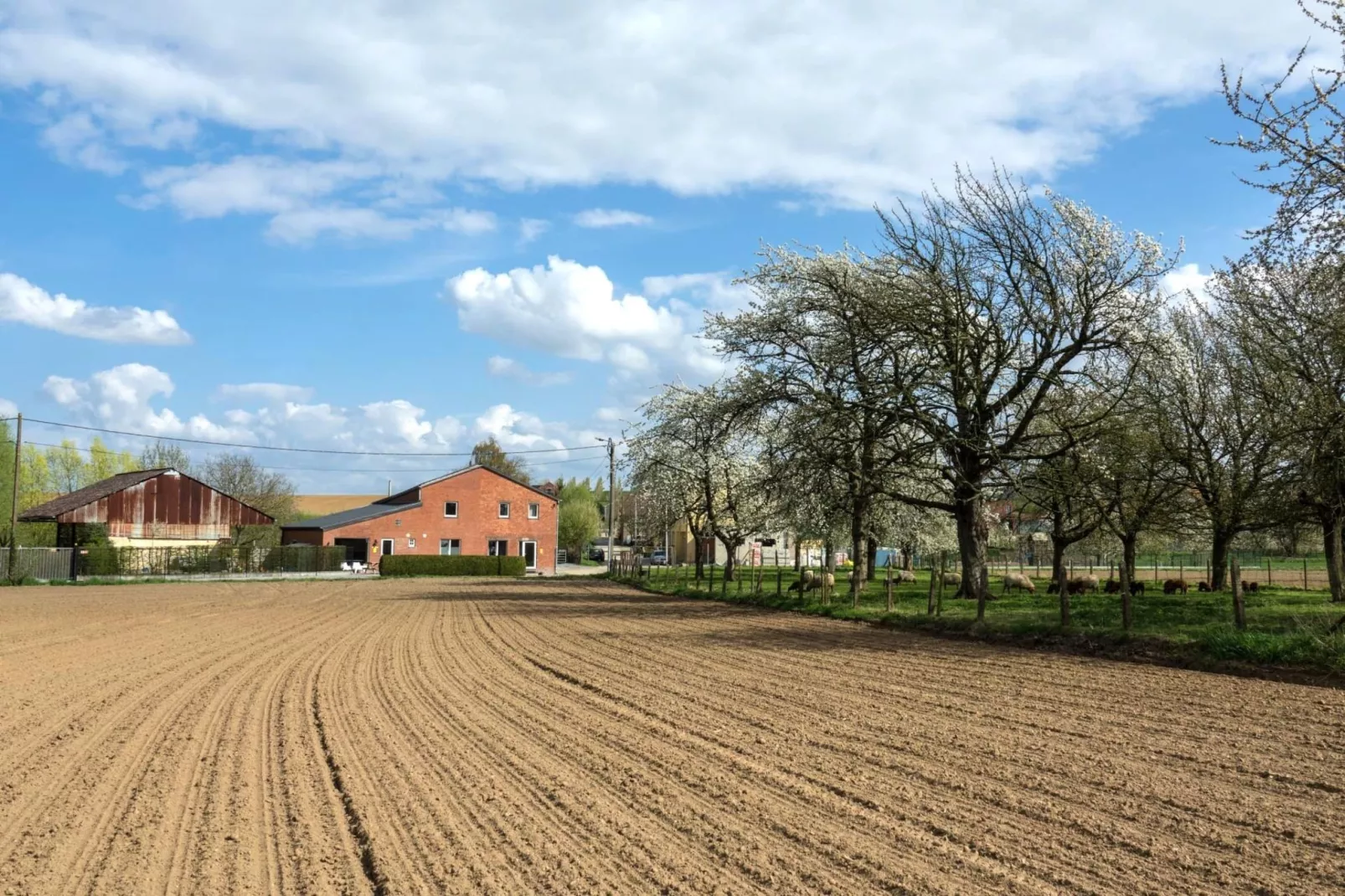 Huis van de raaf-Gebieden zomer 5km